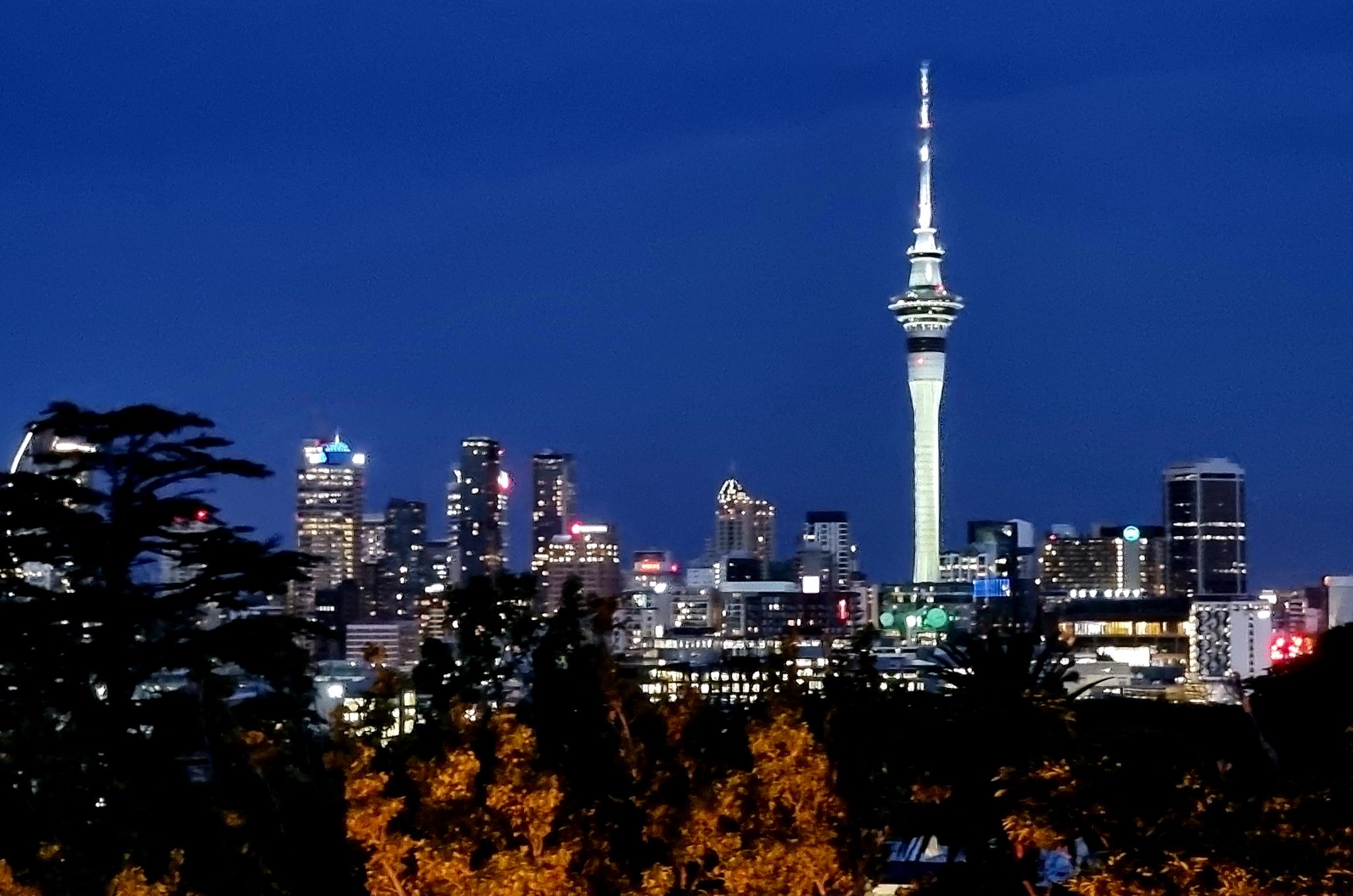 Breathtaking View of the Auckland Skyline