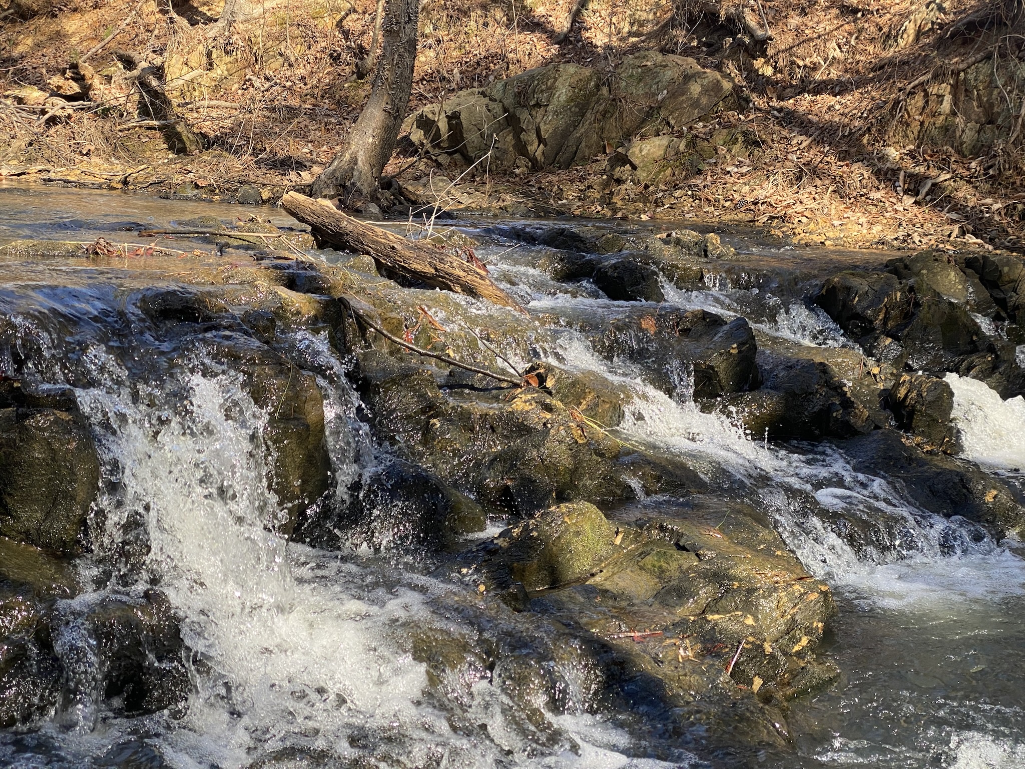 Captivating Waterfall Views on the Eno River