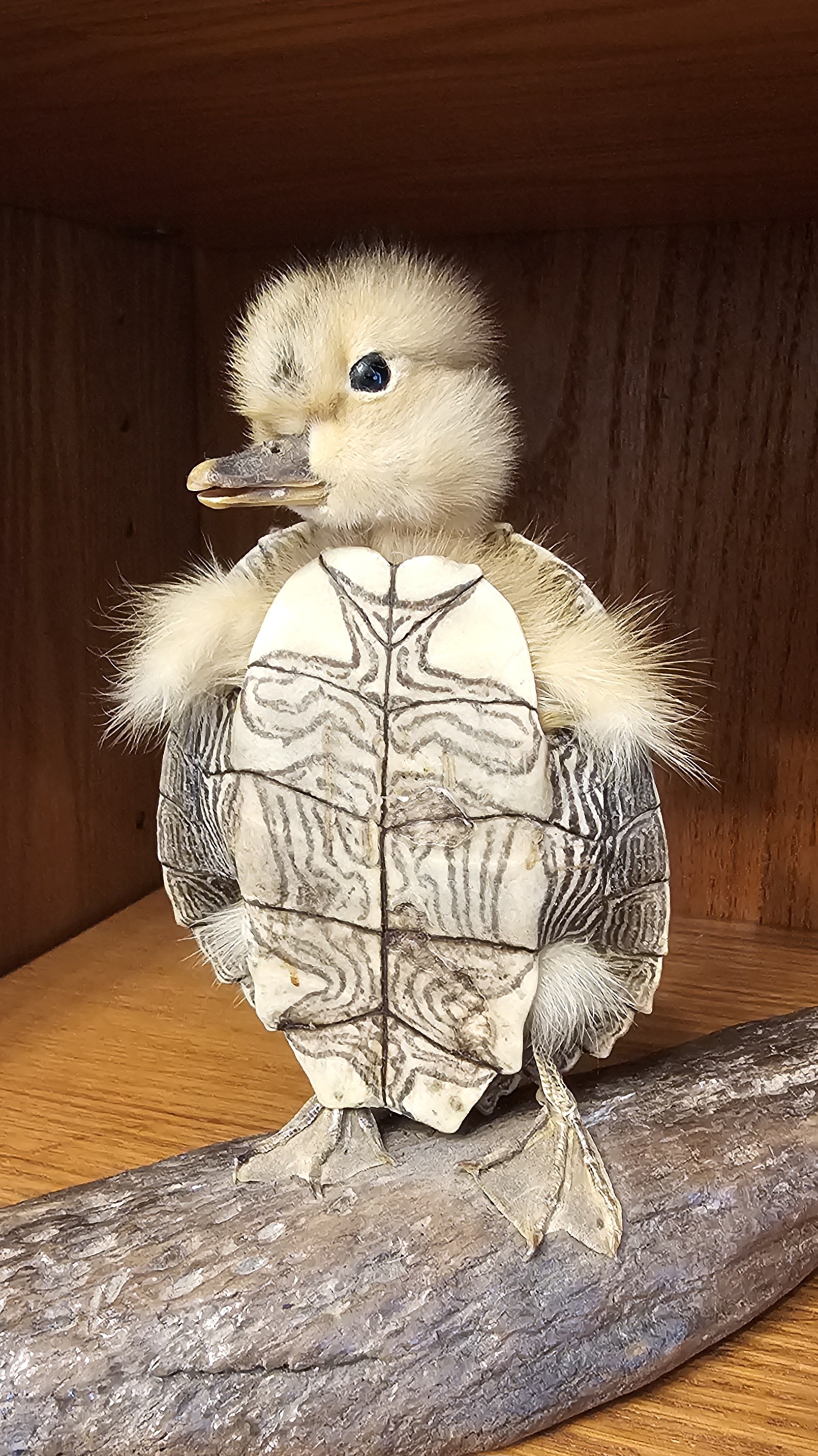 Turtle Duck stands strong for Team Pinecone!