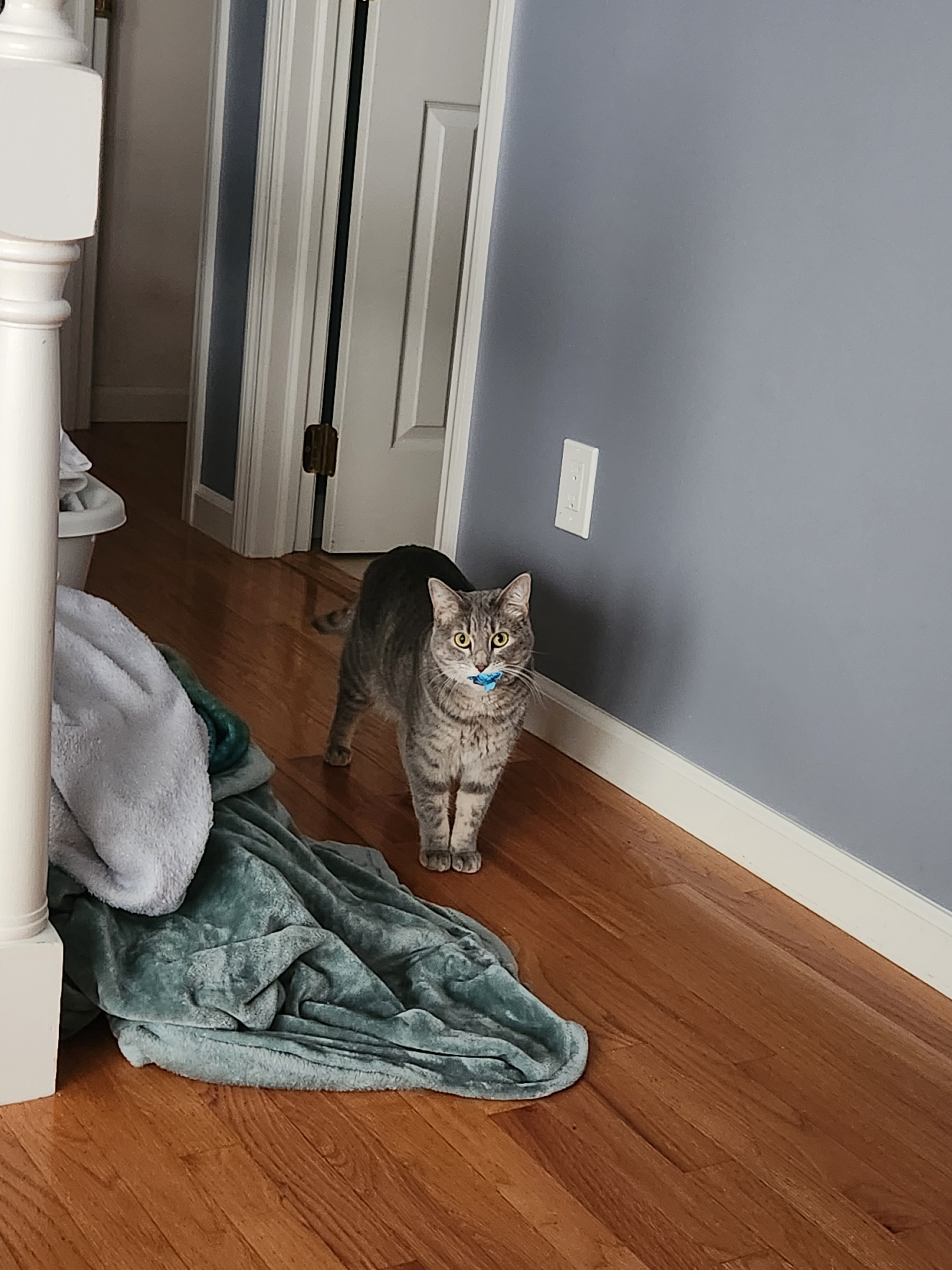Stella's Epic Paper Adventure