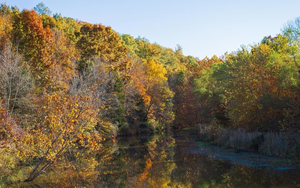 Embracing the Beauty of Autumn