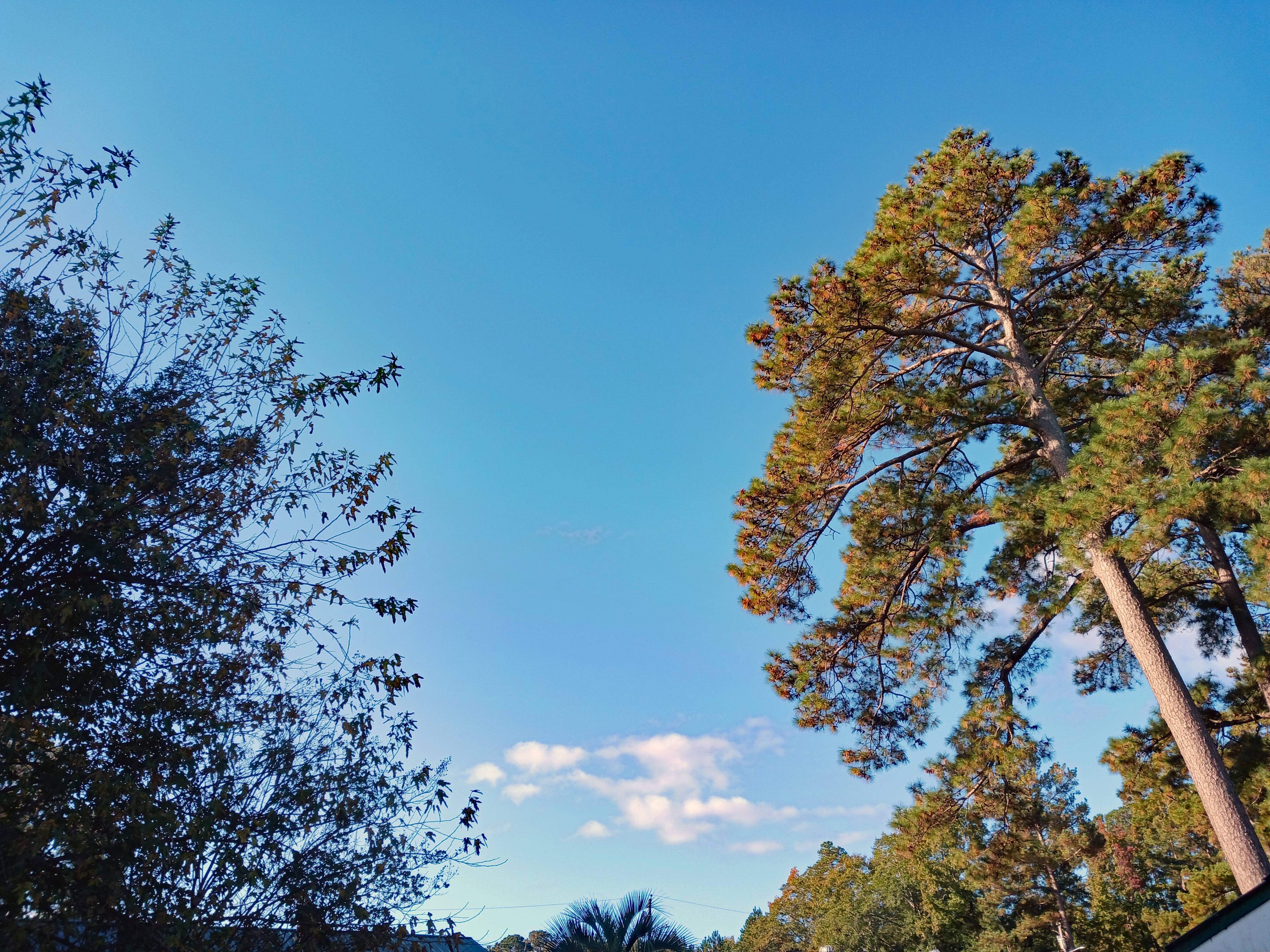 Embracing the Calm of a Peaceful Morning
