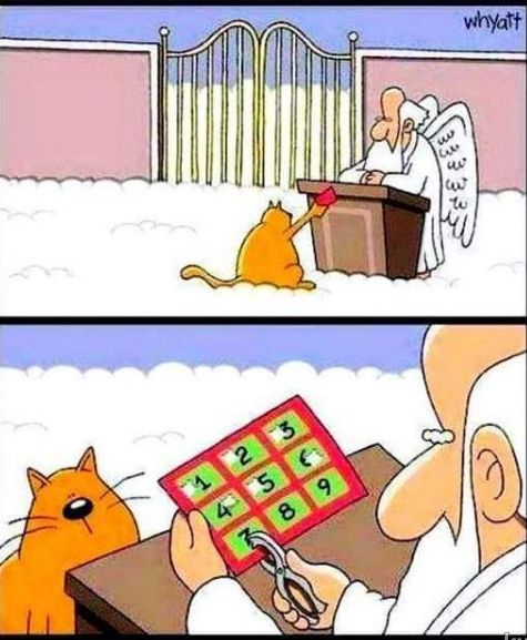 Arriving at the Pearly Gates: What Awaits?