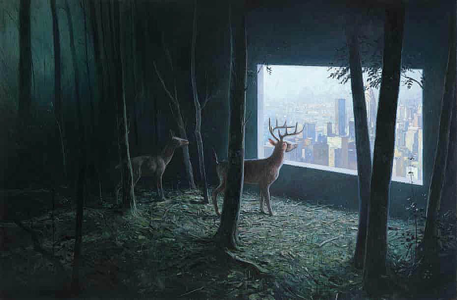 The Beauty of Wildlife: Nature's Wonders