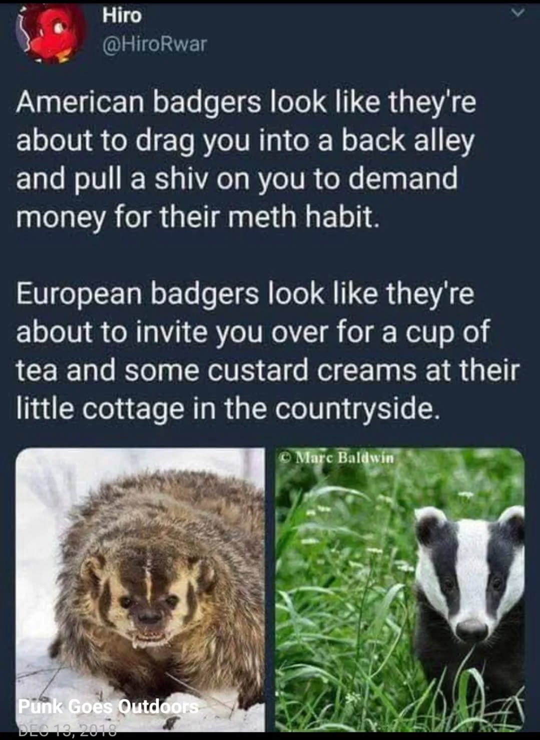 This Is One Wild Ride of a Drug!