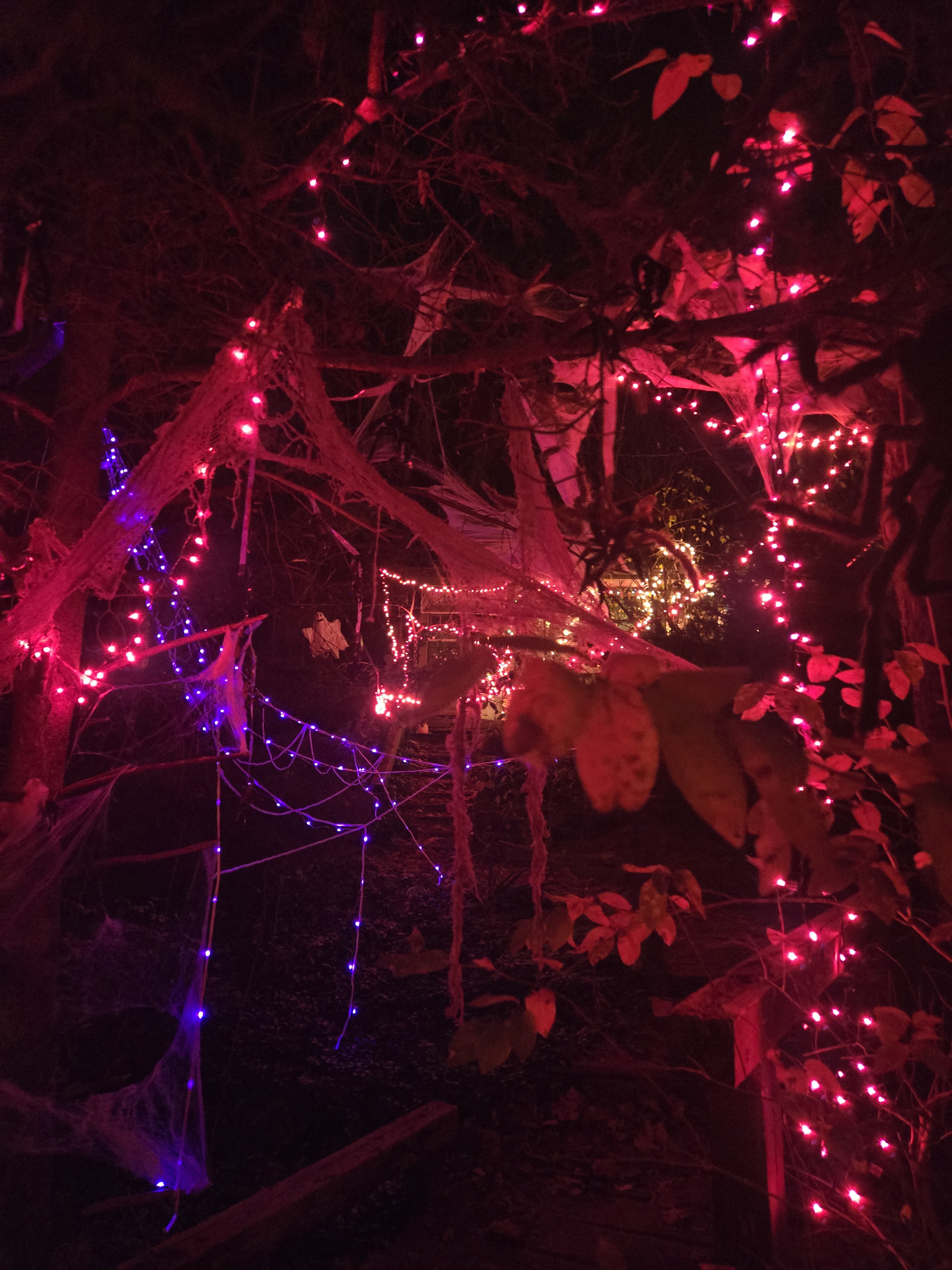 Celebrating MI Hallow's Eve in Style