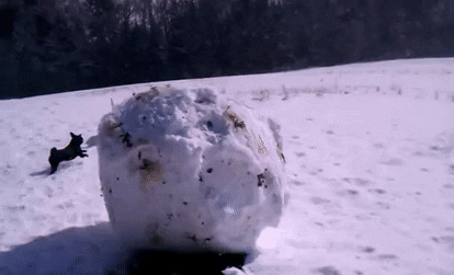 I heard you all enjoy snowballs, so here they come!