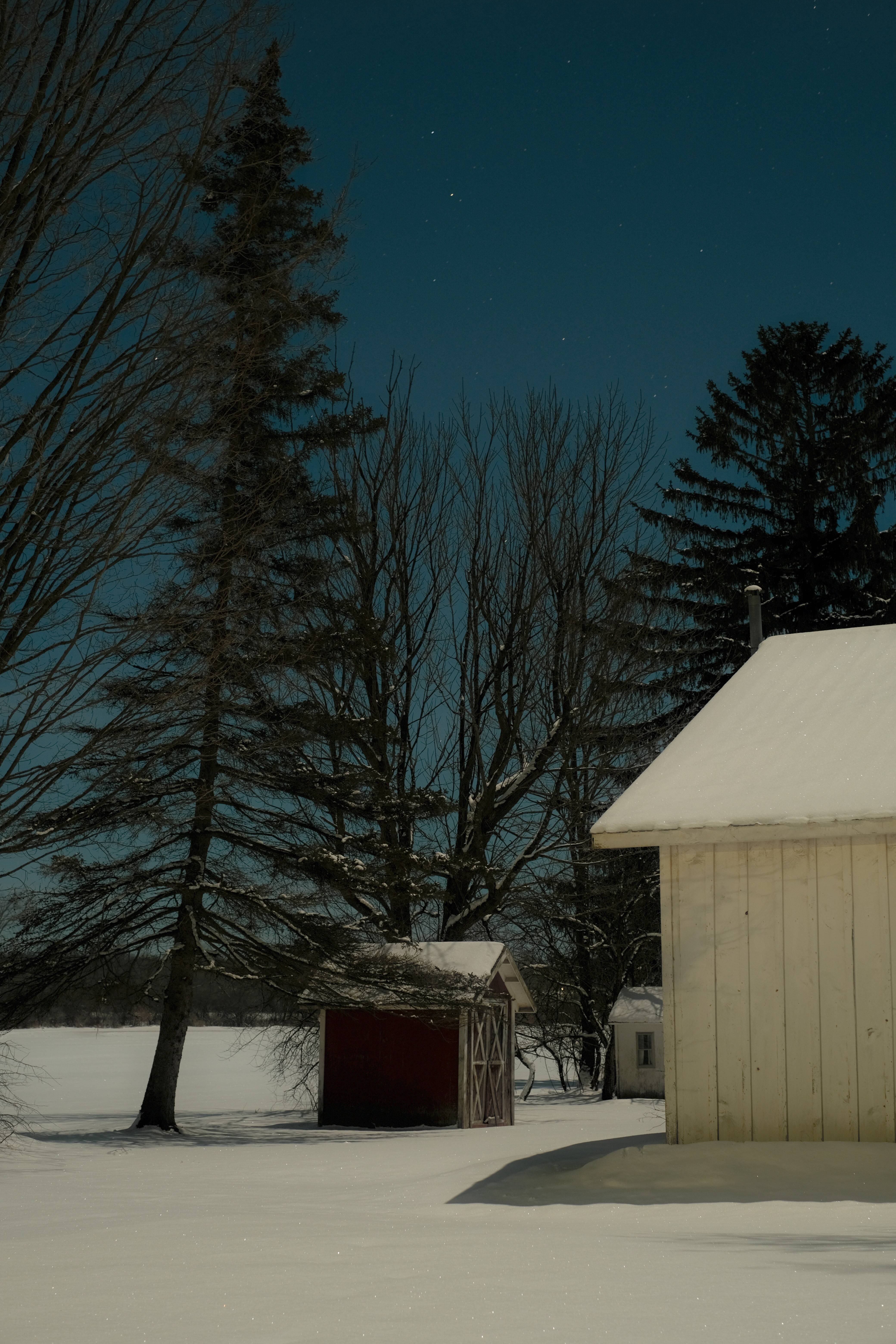 Chilly Full Moon Night at 2.5 Degrees Fahrenheit