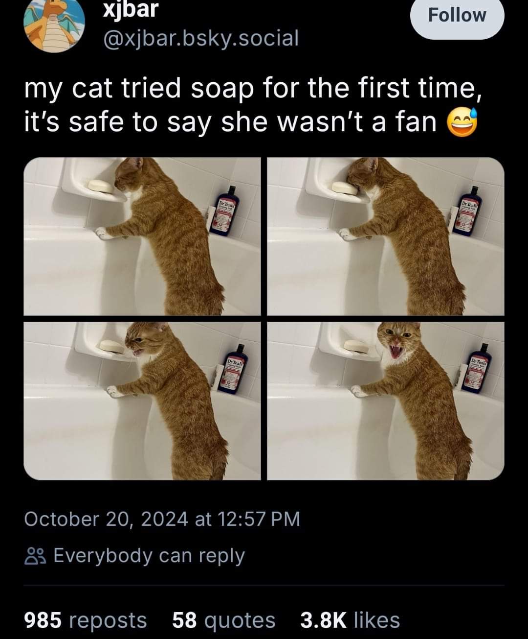The Enigmatic Soap Cat: A Purr-fect Mystery