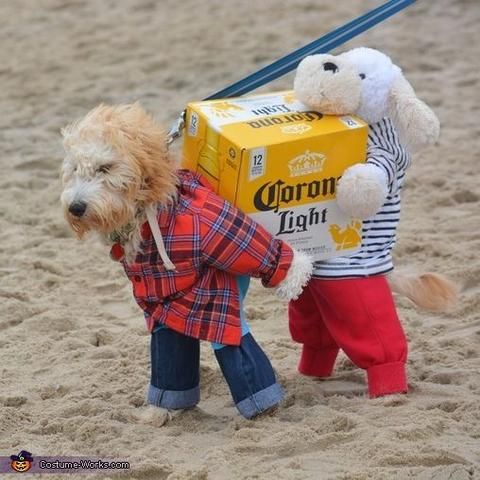 The Epic Costume Contest Showdown