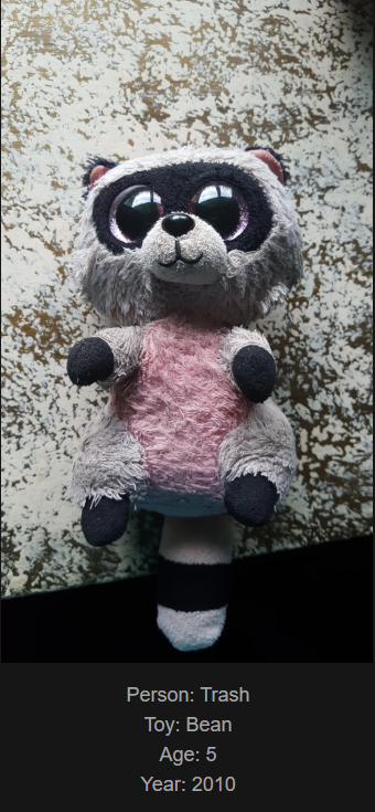 Day 865 - Join me on my website www.saidtheskinhorse.com to explore the cherished bond with our childhood toys. Meet Bean, our latest raccoon lodge addition!