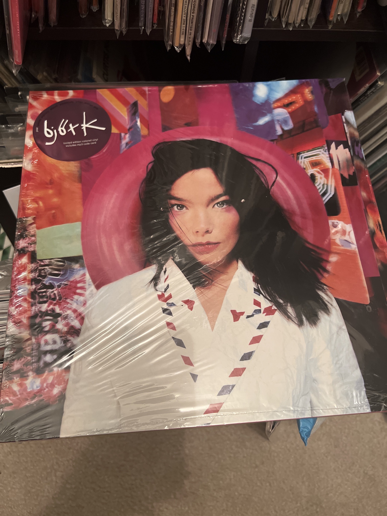 The Enigmatic Bjork