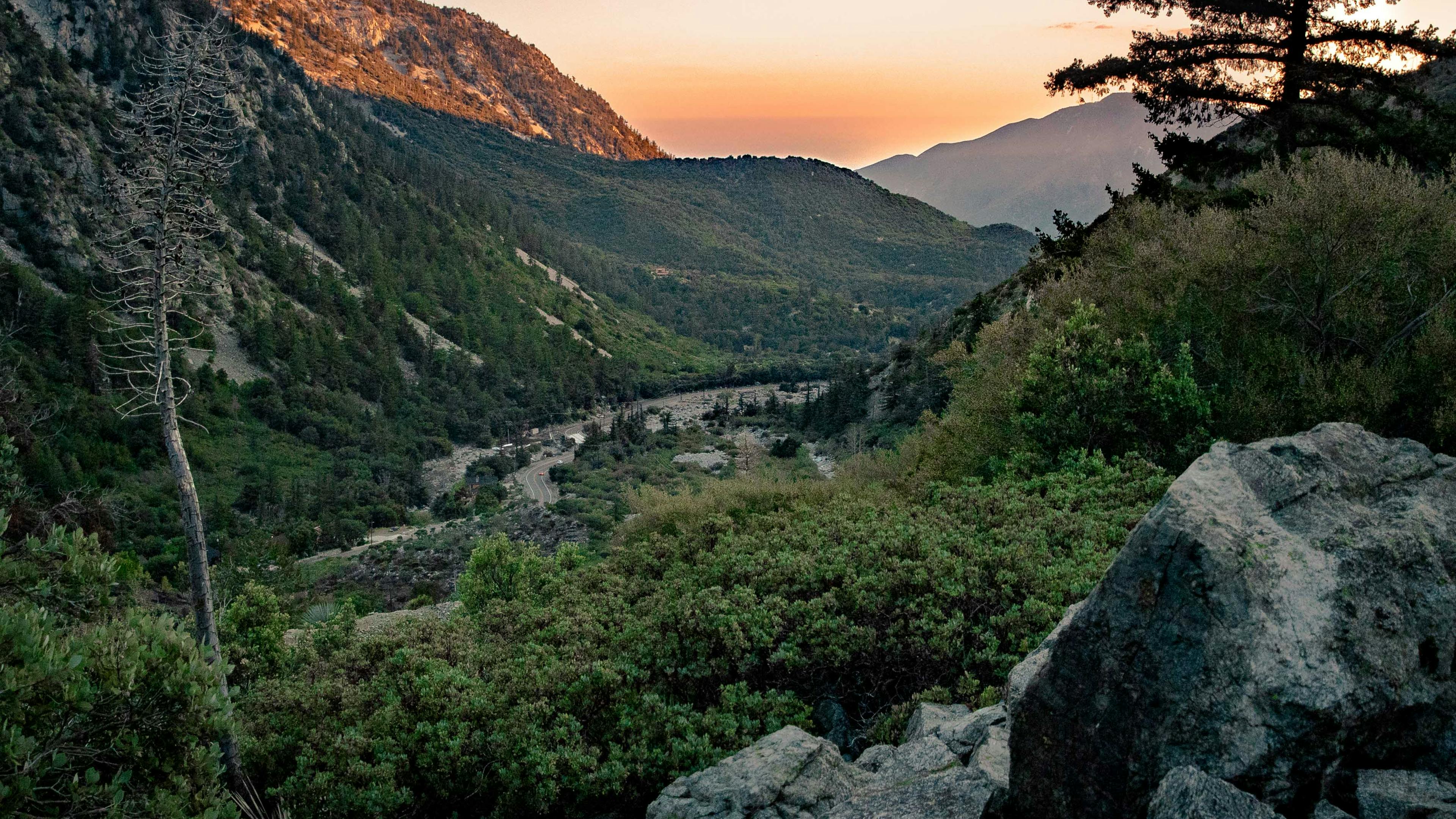 The Enchanting Glow of Golden Valley