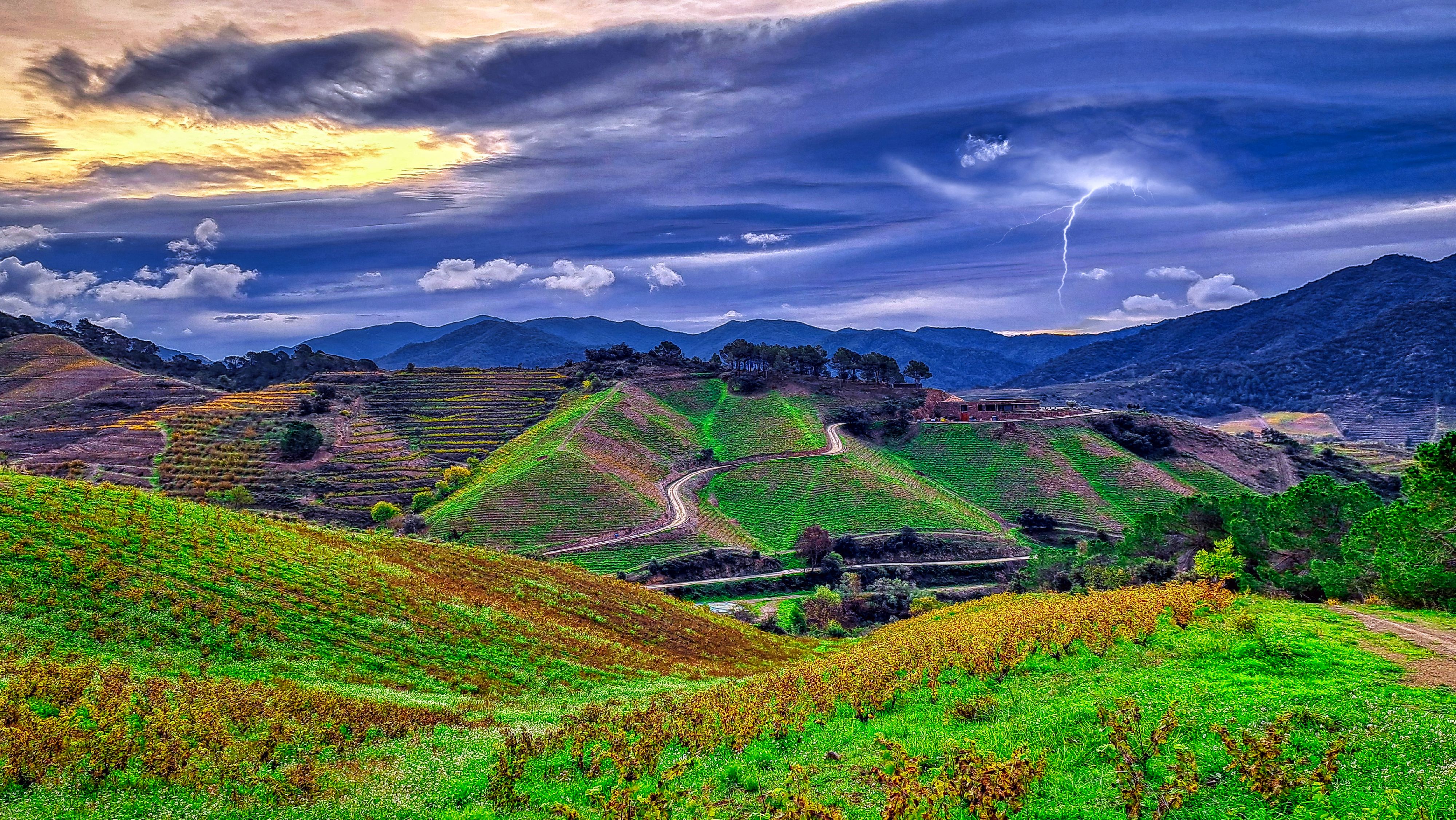 Exploring the Scenic Terraces of Poboleda's Vineyards in Priorat