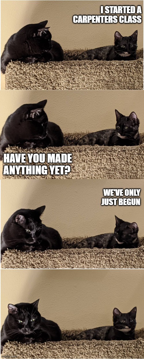 The Adventures of Splunk and Smudge