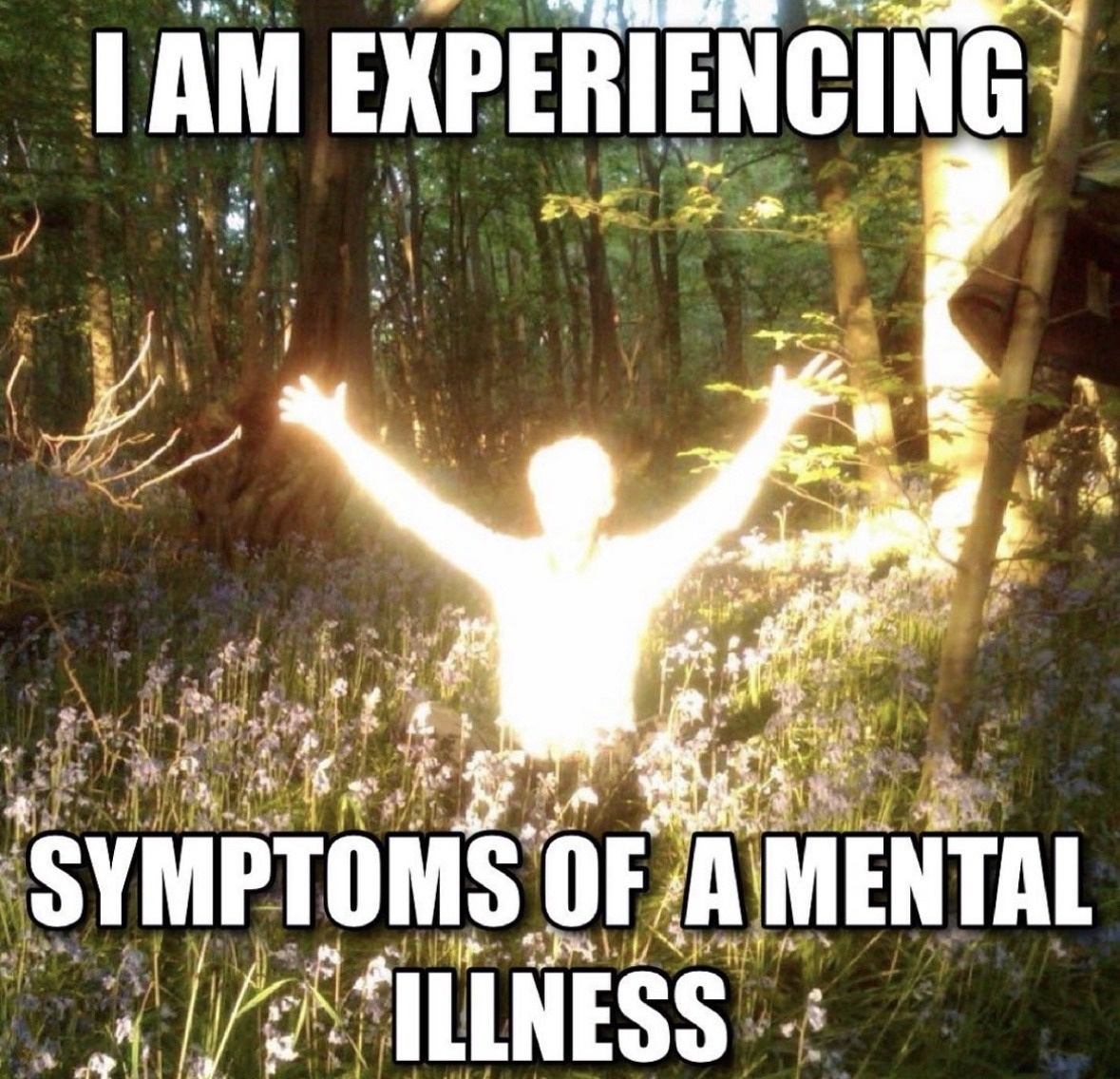 Take a Moment to Enjoy a Meme Break from Today's Chaos
