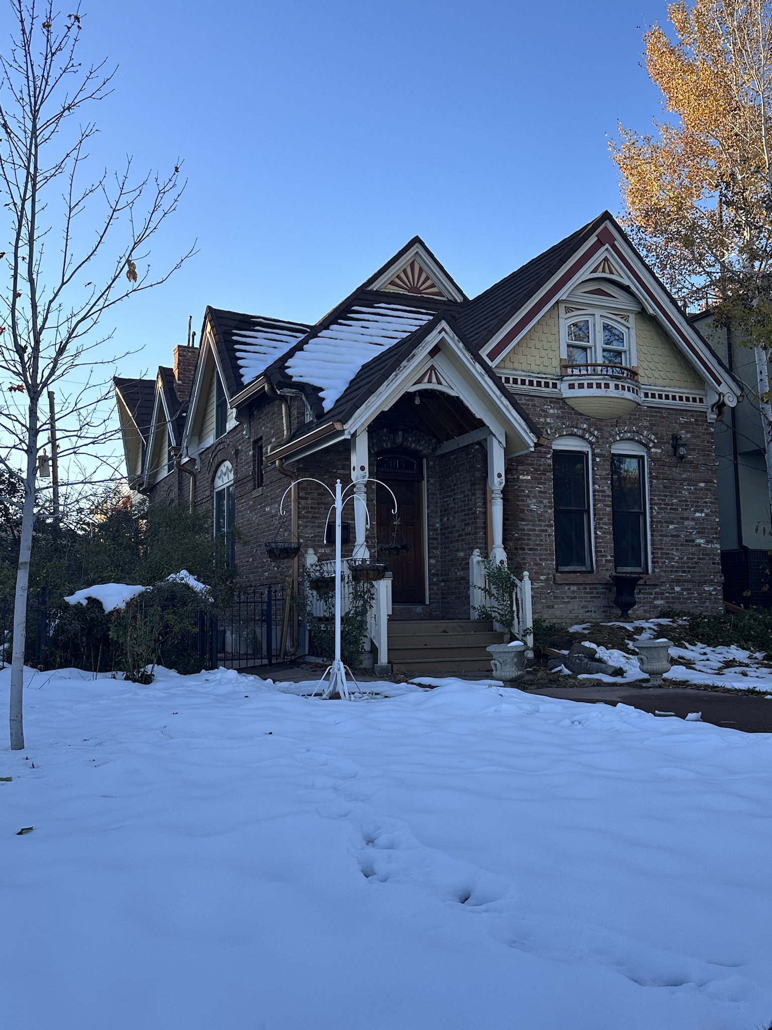 Denver's Stunning Autumn Beauty Captured