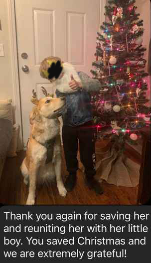 Lost Dog Update: Joyful Reunion with Owners!