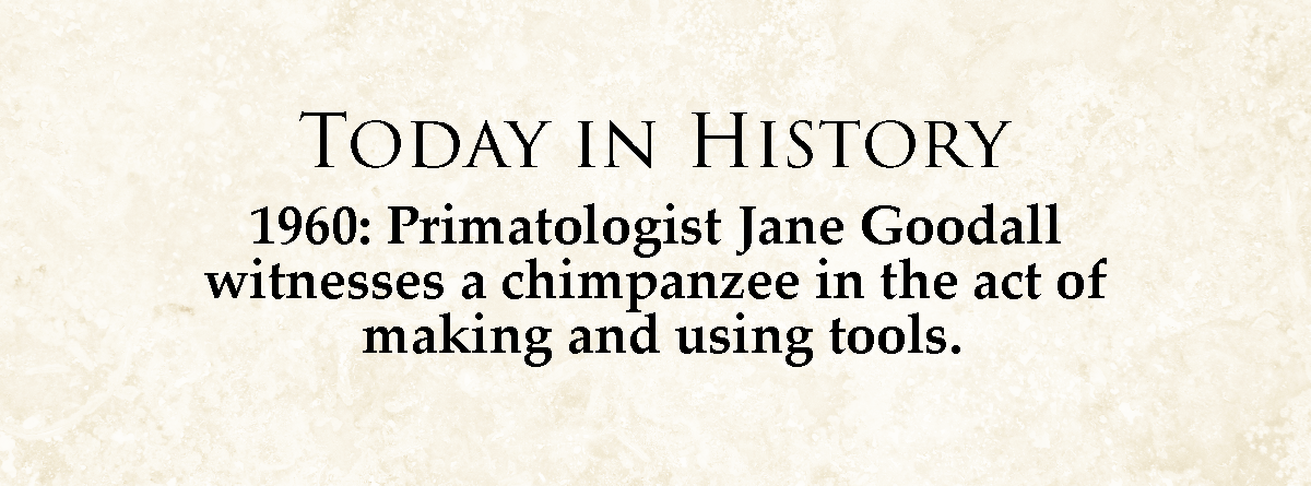 A Look Back at Significant Events on November 4