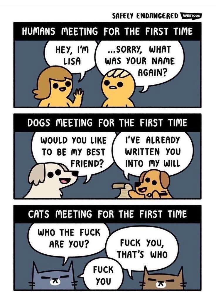 I Am All Three Characters in One!