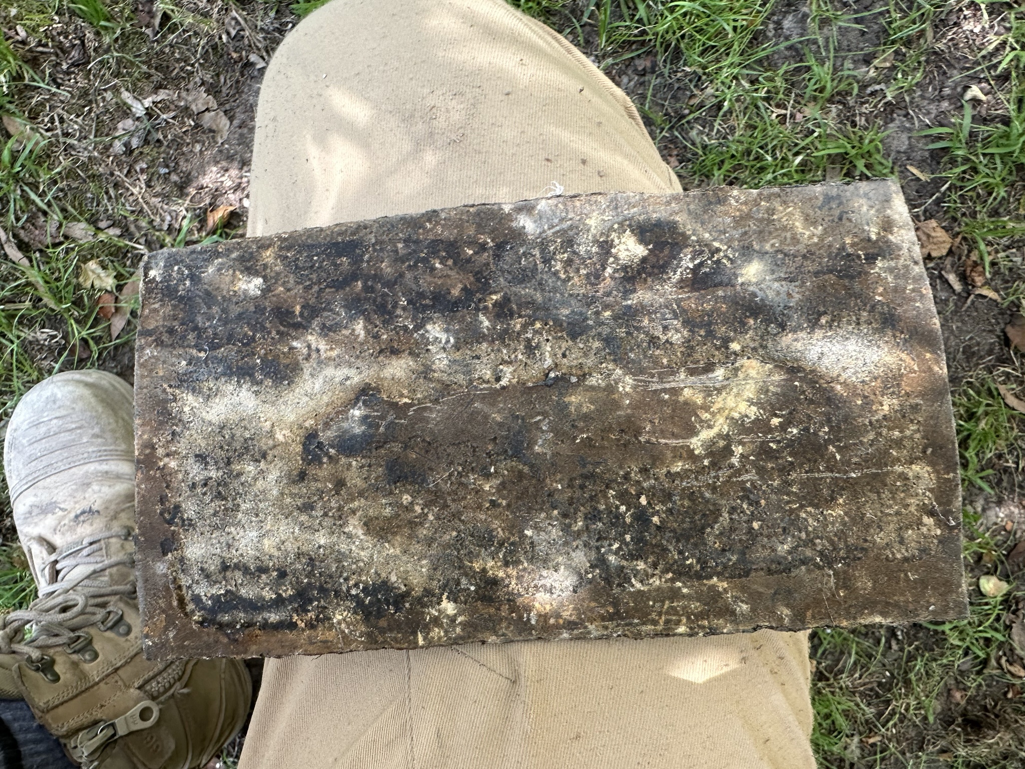 Unearthing Surprises: What I Discovered Under My House