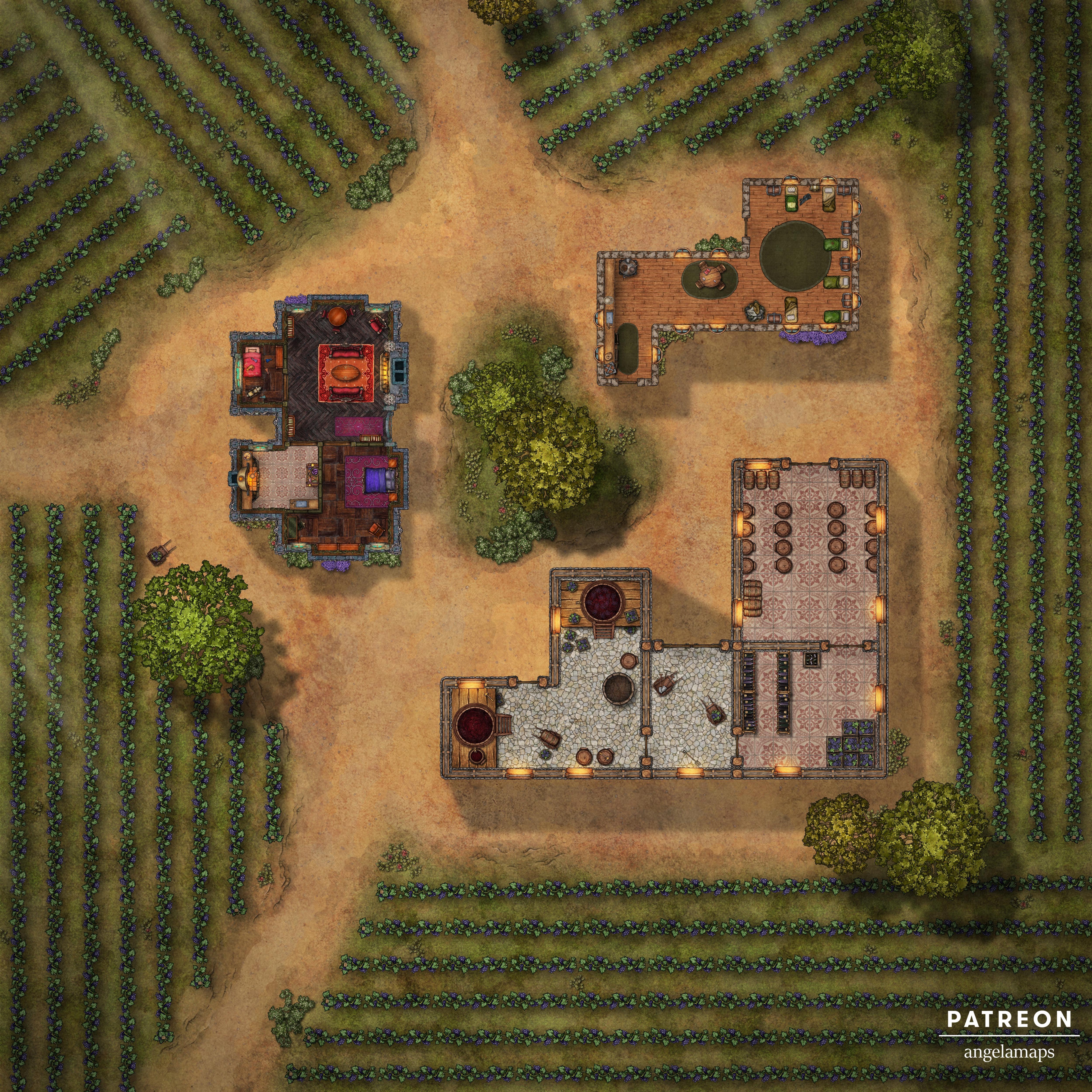 Exploring the Vineyard: A Journey Through Grapes and Vines