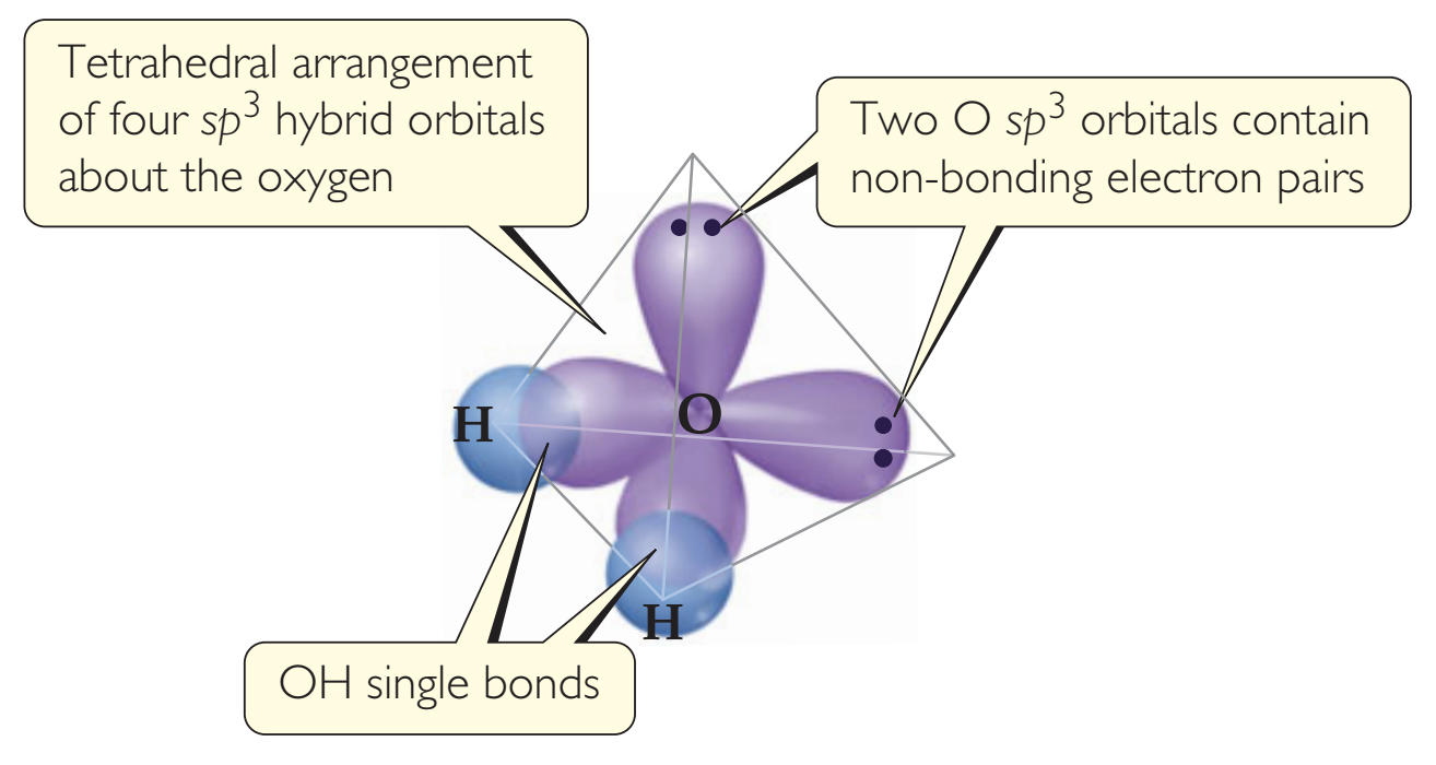 The Art of Hybridization Explained