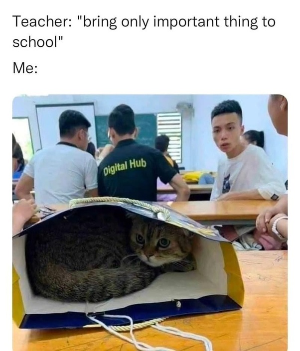 What to bring to school for an unforgettable day