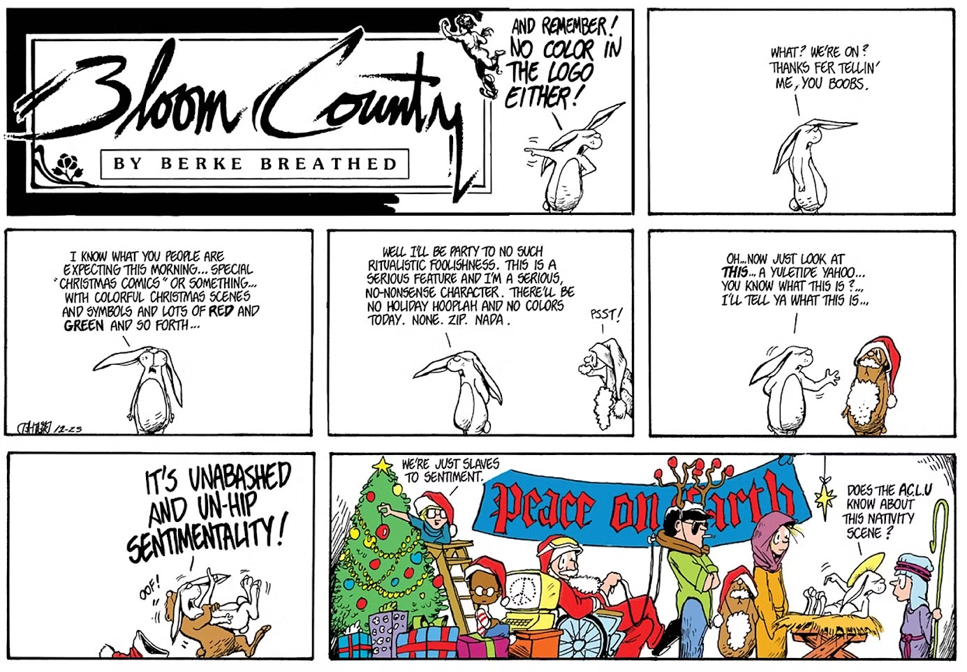 Wishing You a Vibrant and Joyful Christmas!