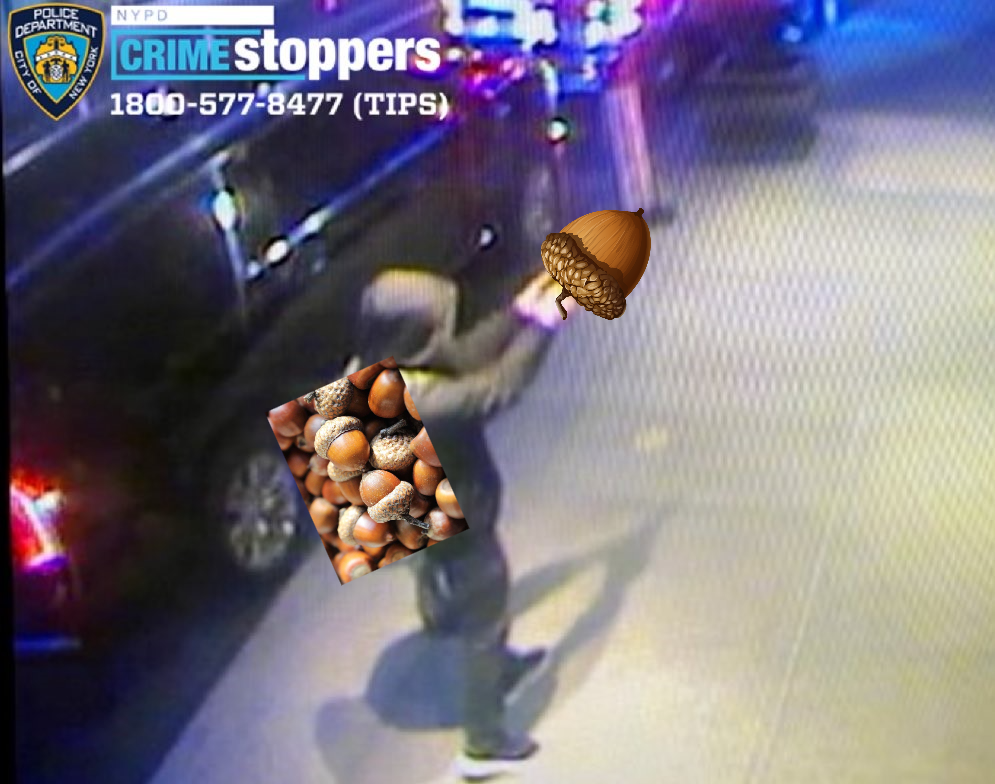 Out of cares to give, but overflowing with acorns!