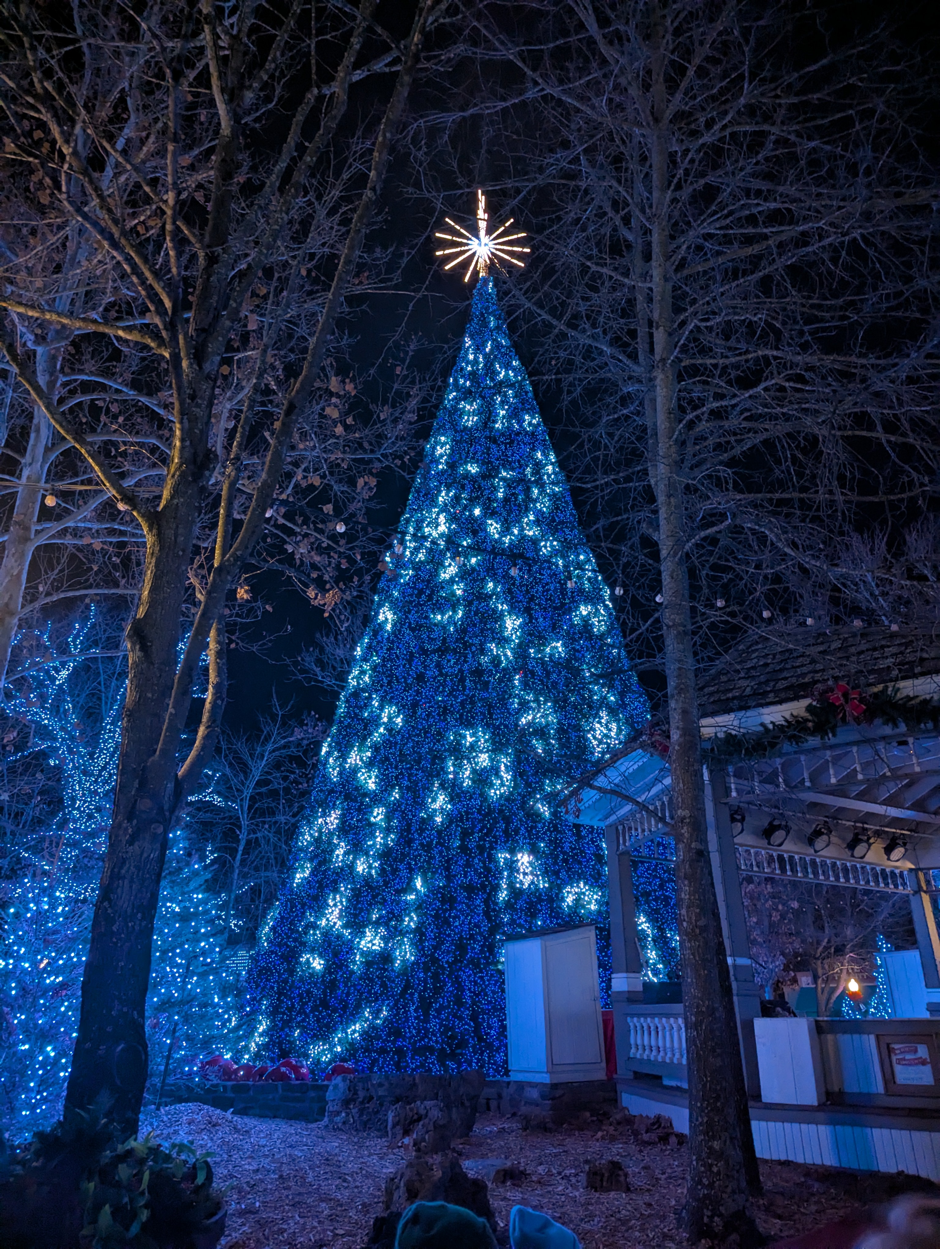 The stunning Christmas tree at Silver Dollar City.