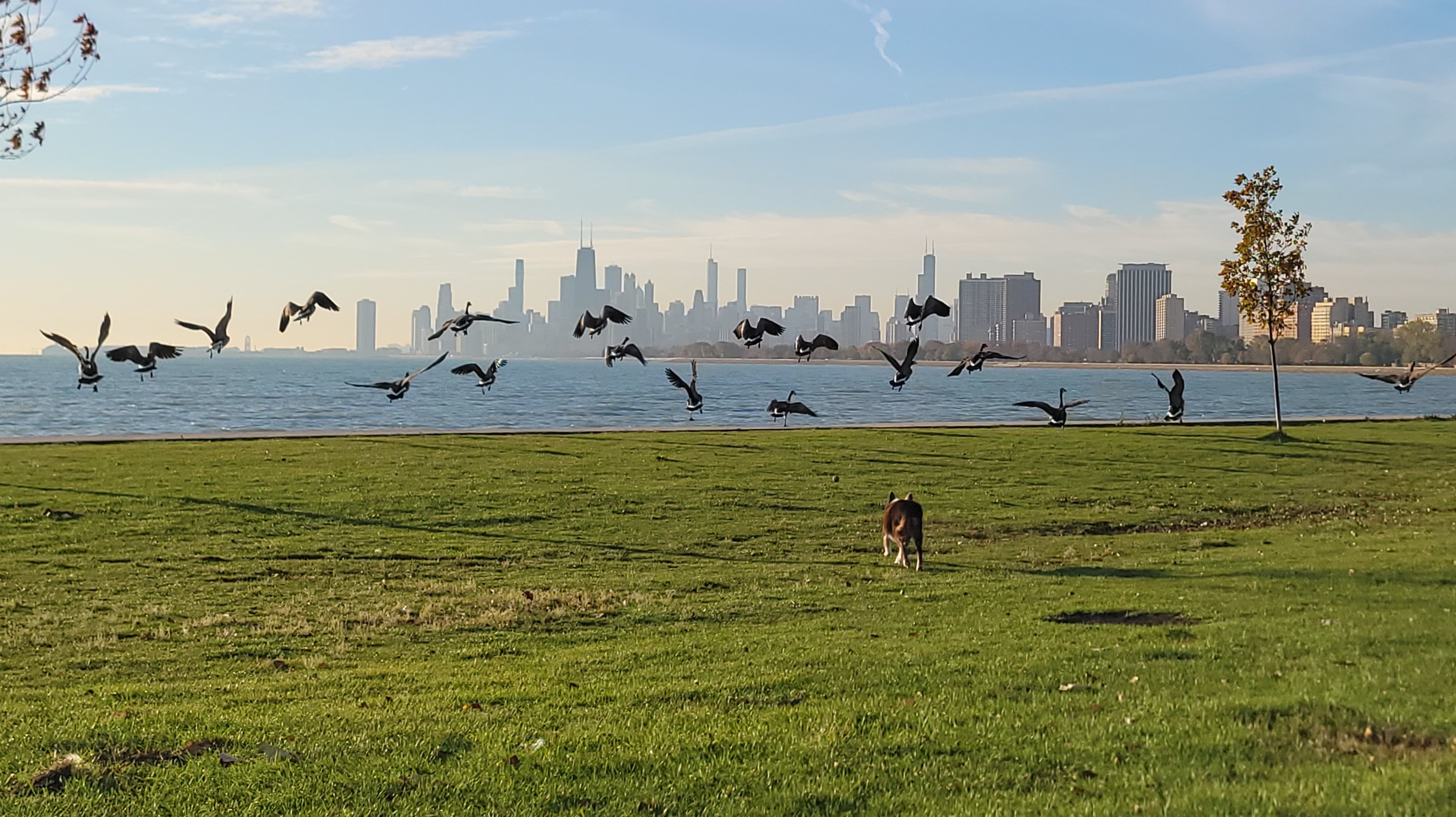 Capturing Fun Moments with Burst Shutter Mode
