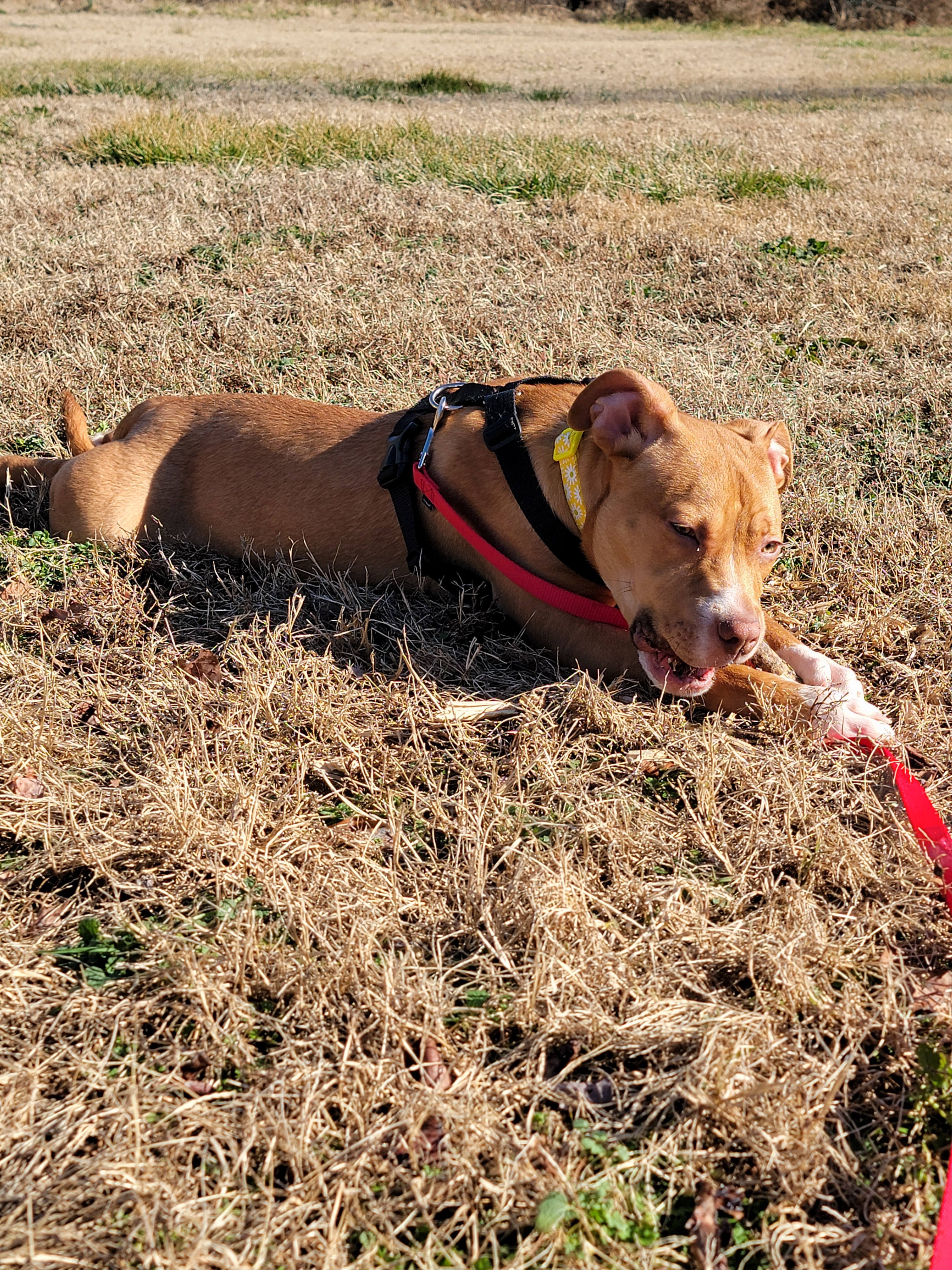 Meet Lucy: The Star of February 9, 2025