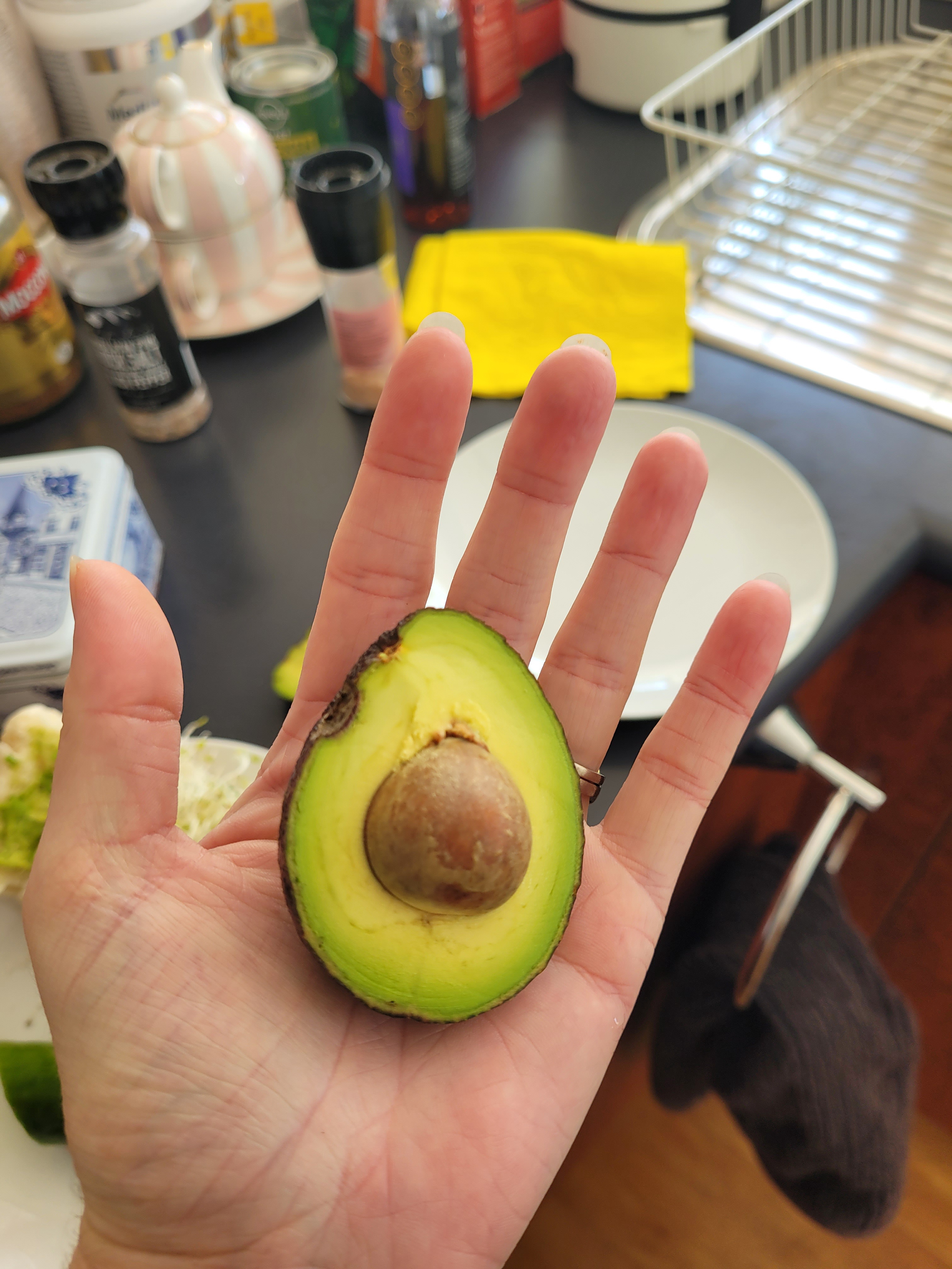 Meet the Adorable Tiny Avocado!