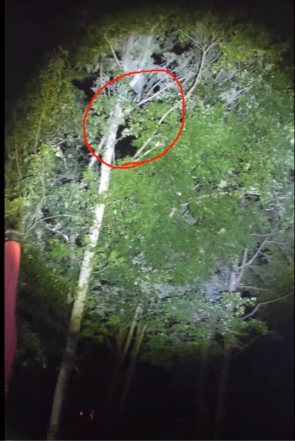 Check out this spot, it's the same location at 0:33!