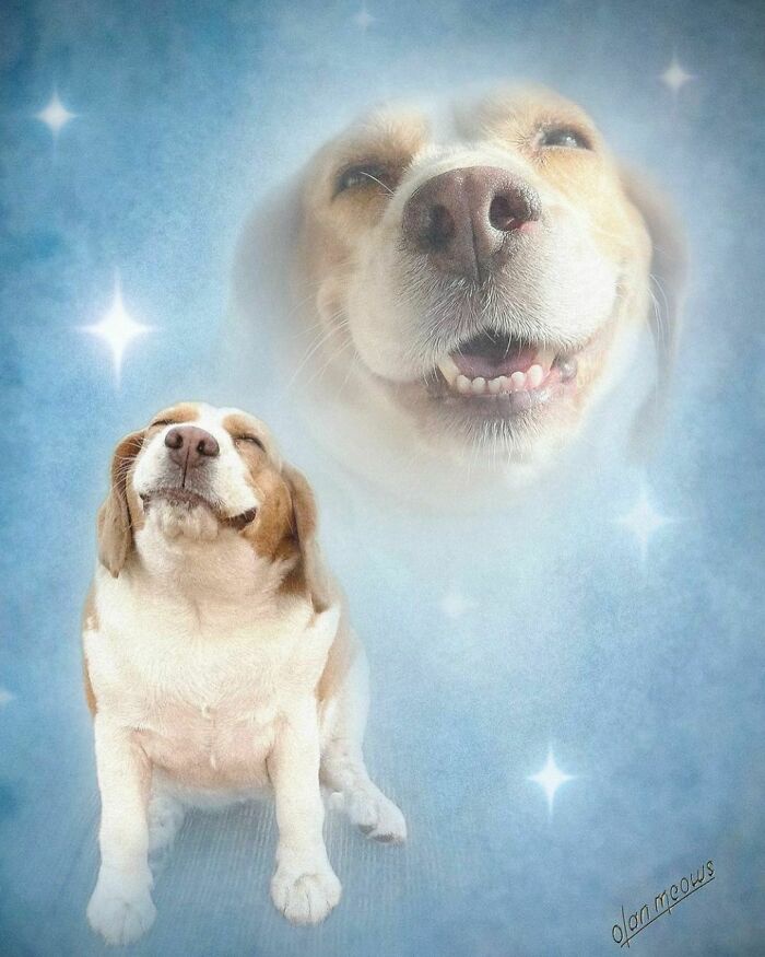 A joyful portrait capturing happiness.