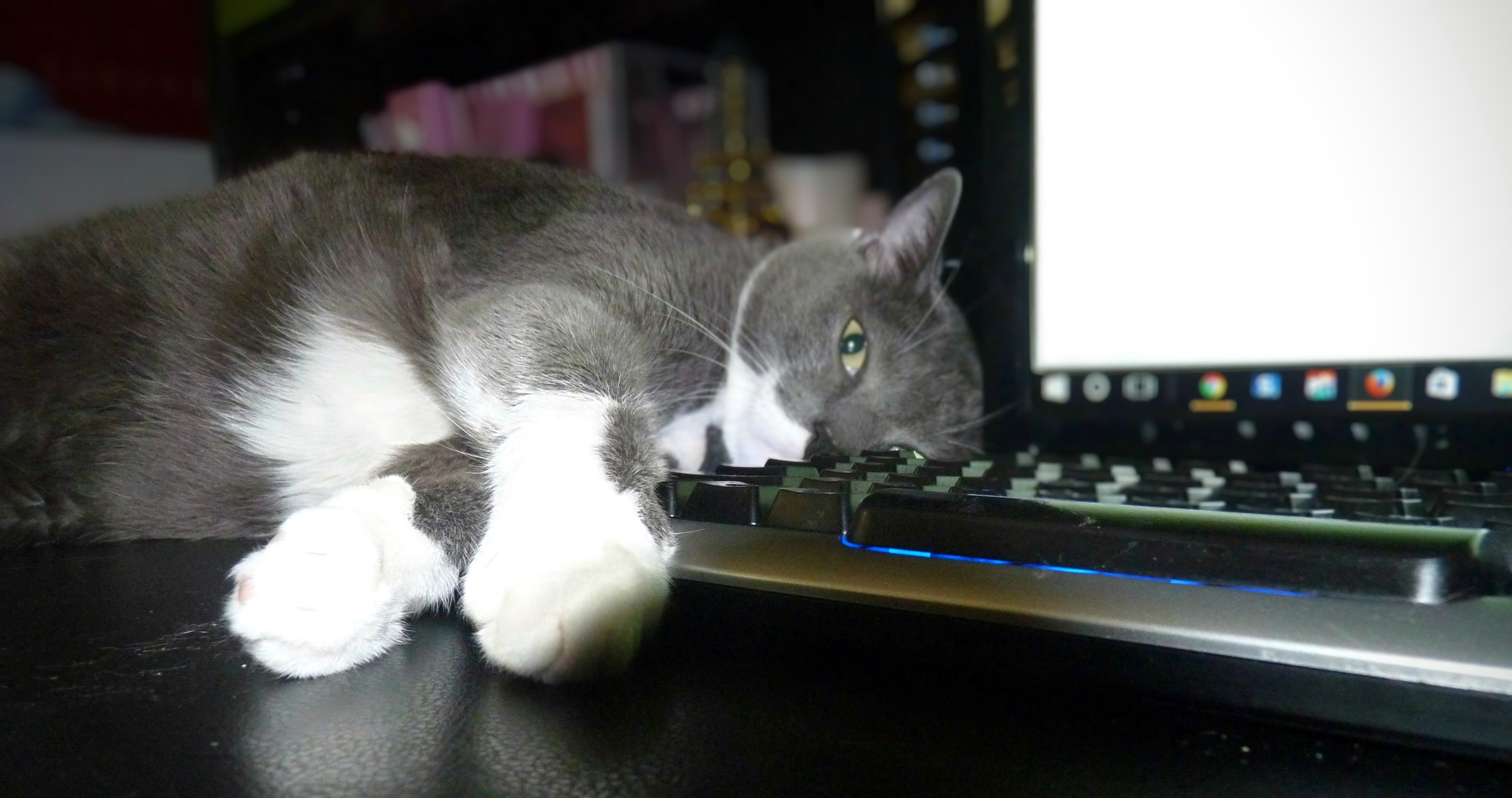 The White Screen of Death: Thunder's Not to Blame!