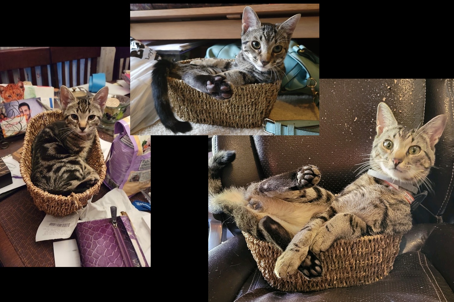 If I Fits, I Sits: A Journey Through Time