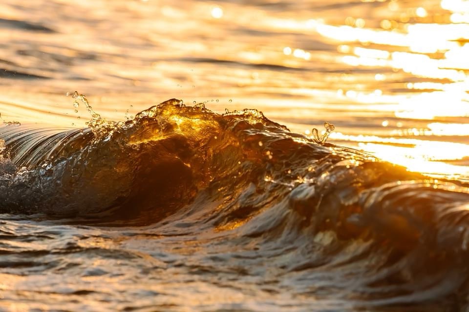 Catch the Wave!