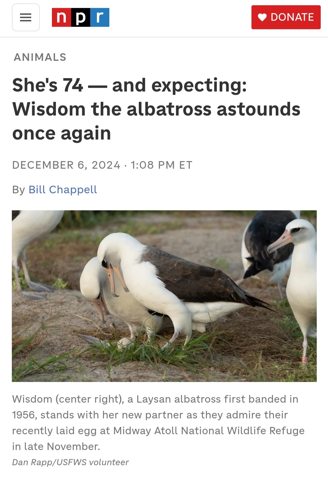 The Only Genuine Wisdom You'll Find in the US