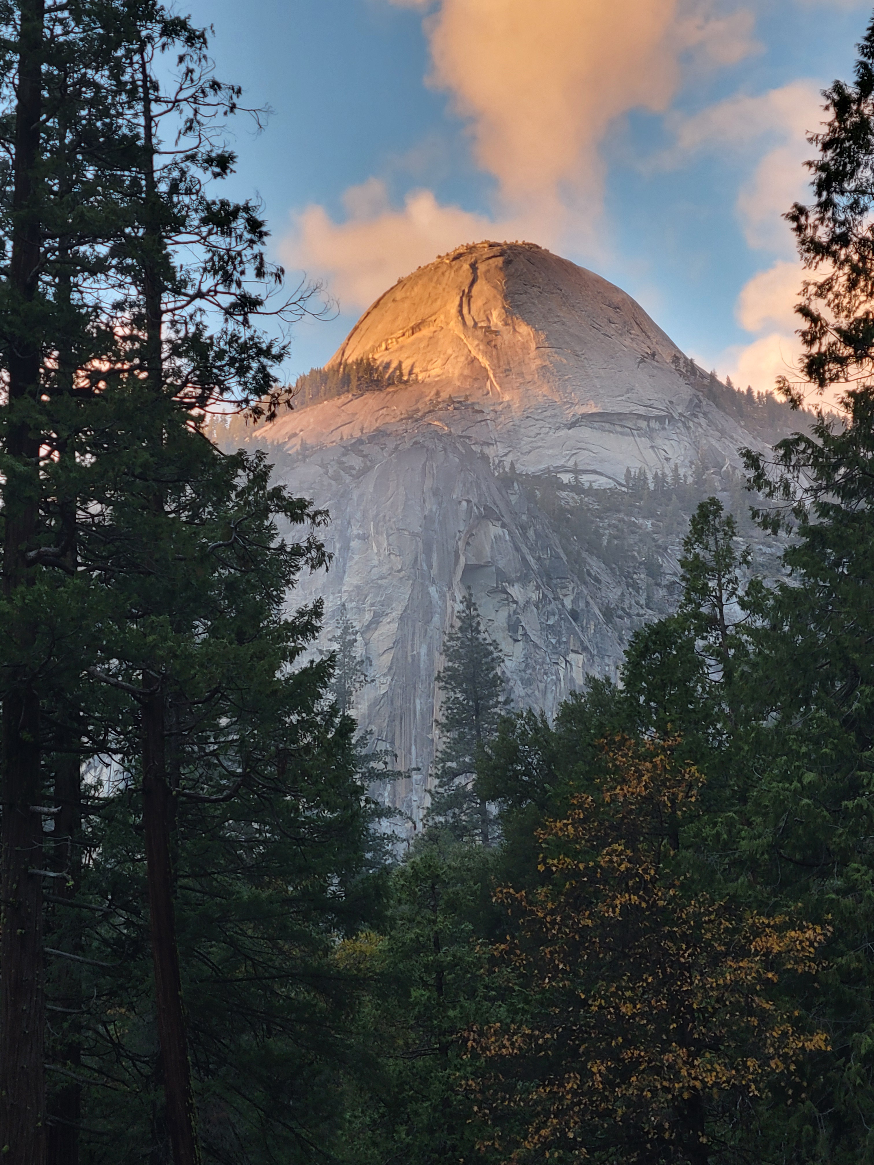 Ynp: The Mystery Unveiled