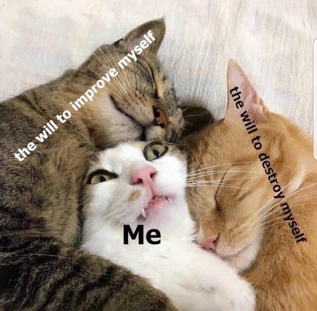 The Endless Cycle of Memes: A Celebration of Internet Humor