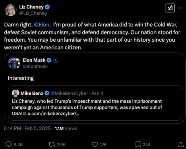 Liz Cheney throws shade at Elon Musk's citizenship status