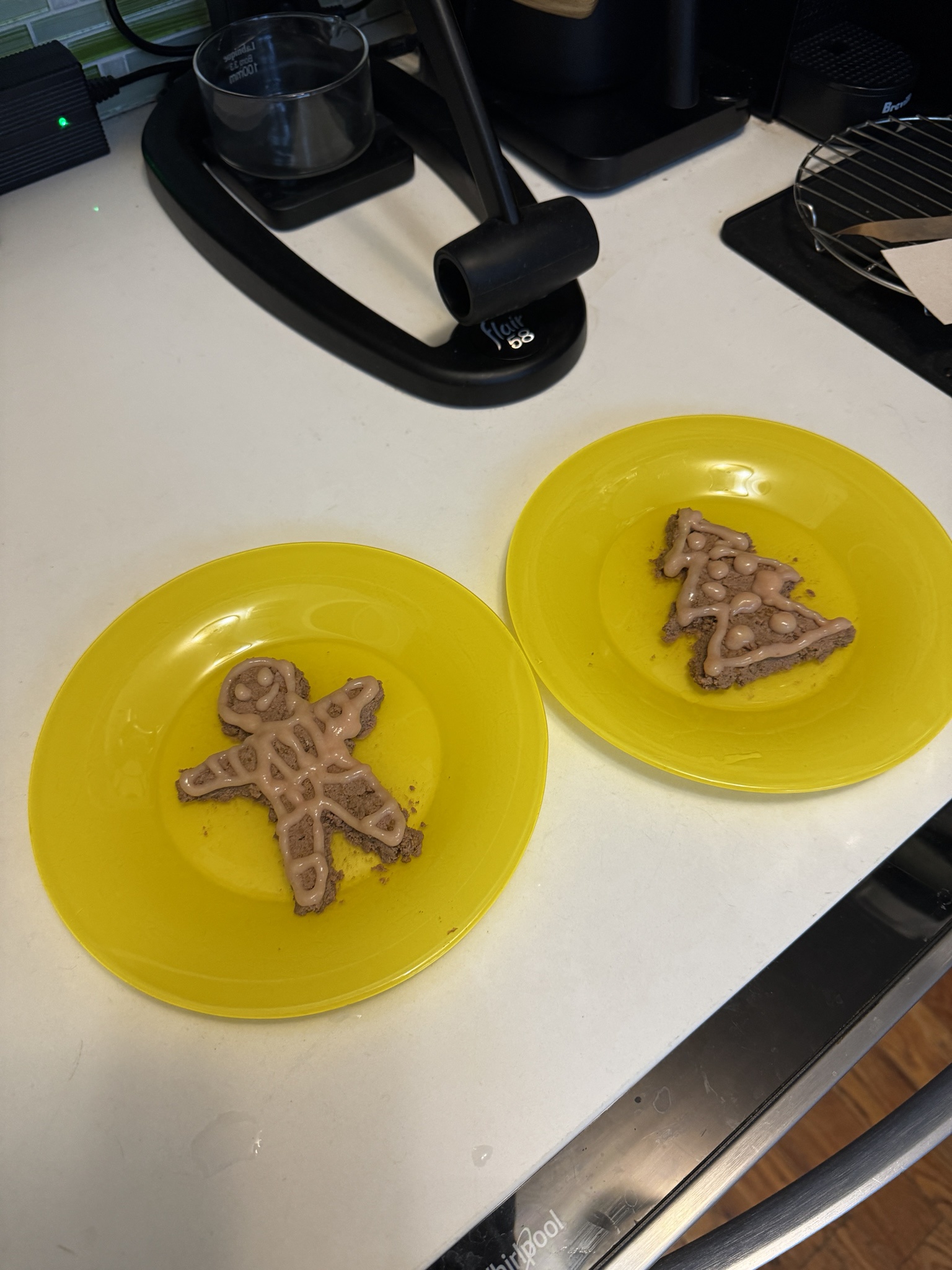 A Special Christmas Treat for Our Feline Friends
