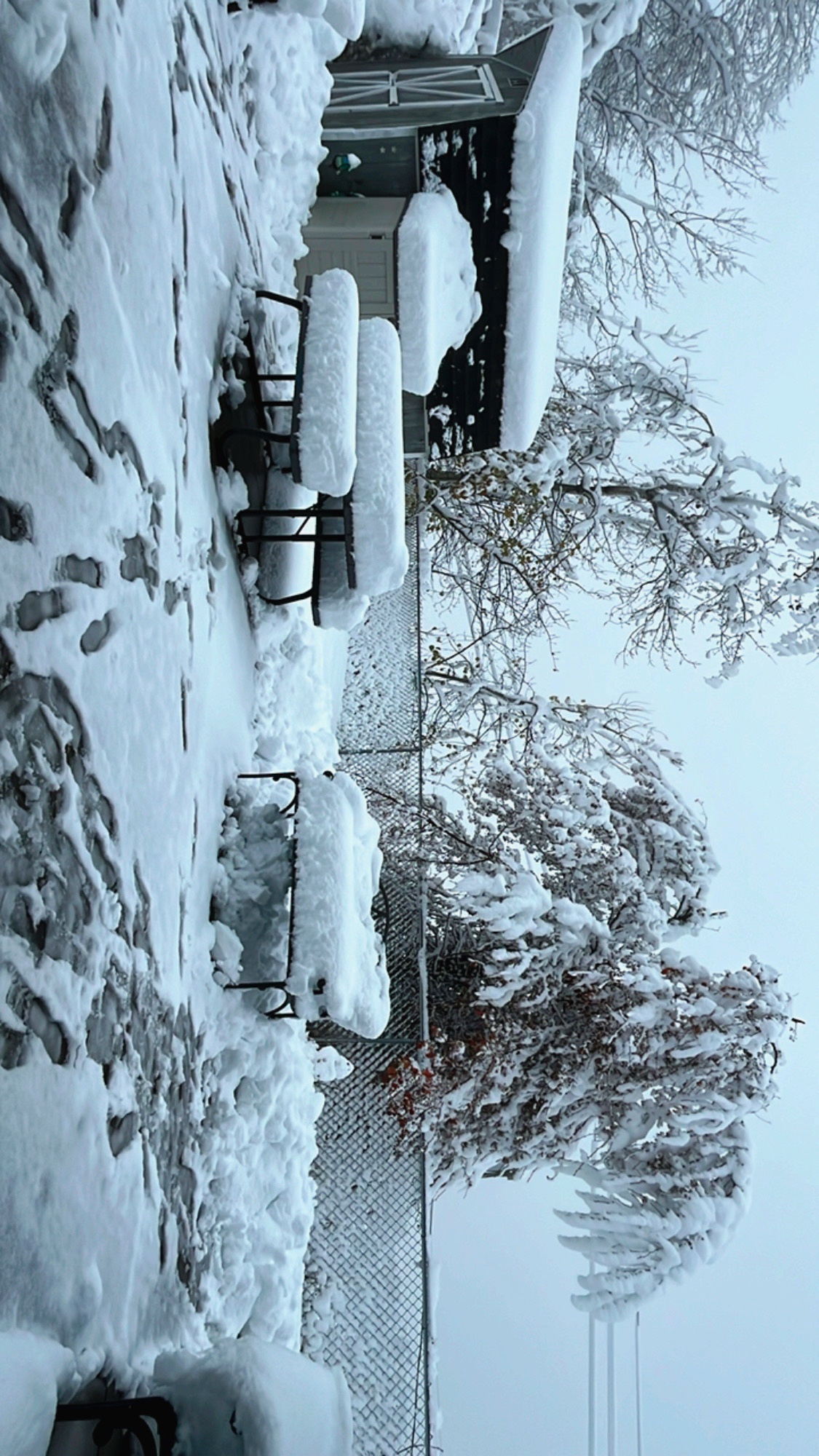 Experiencing My First Winter: A New Adventure