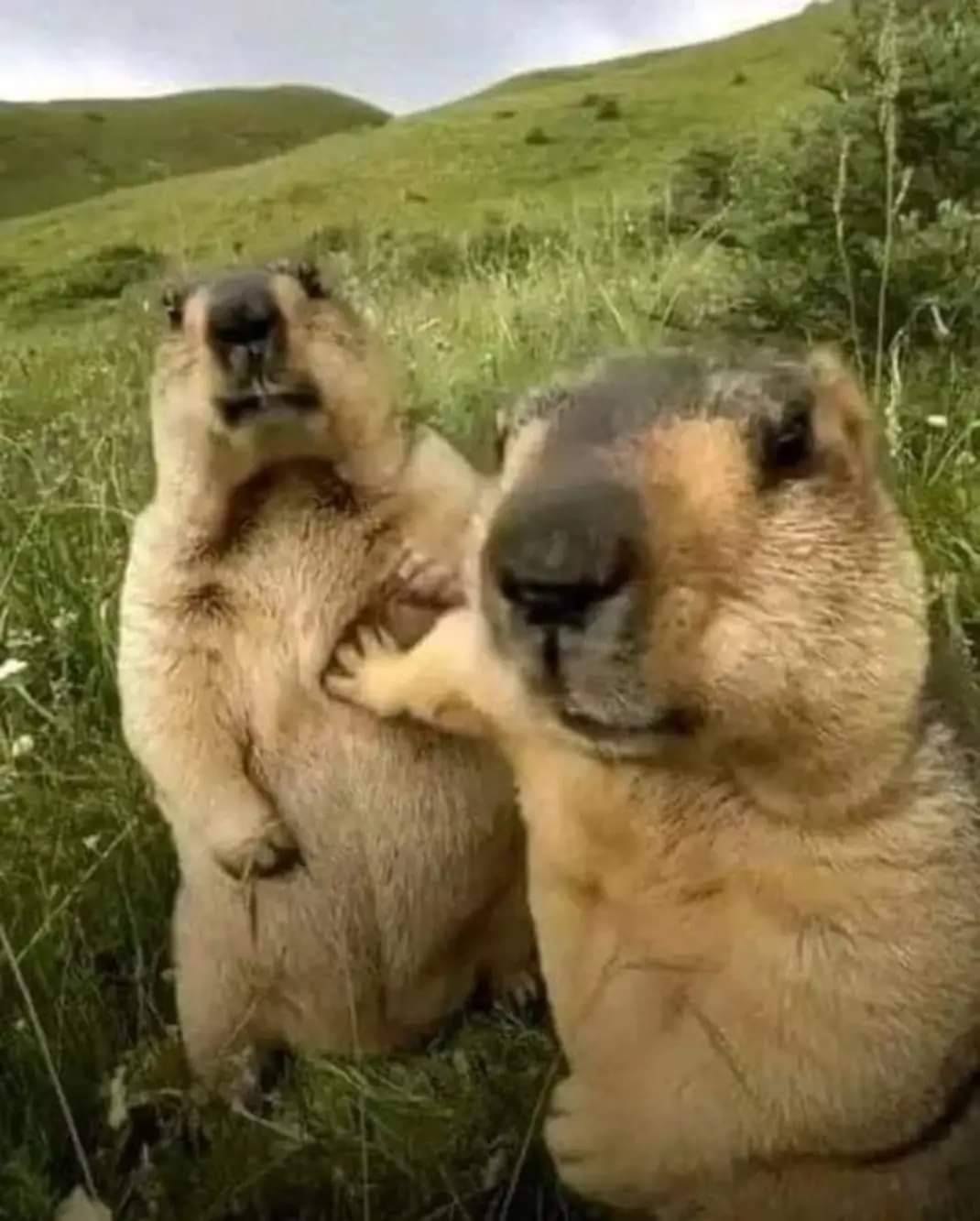 Hold on, Phil, I've got this covered!