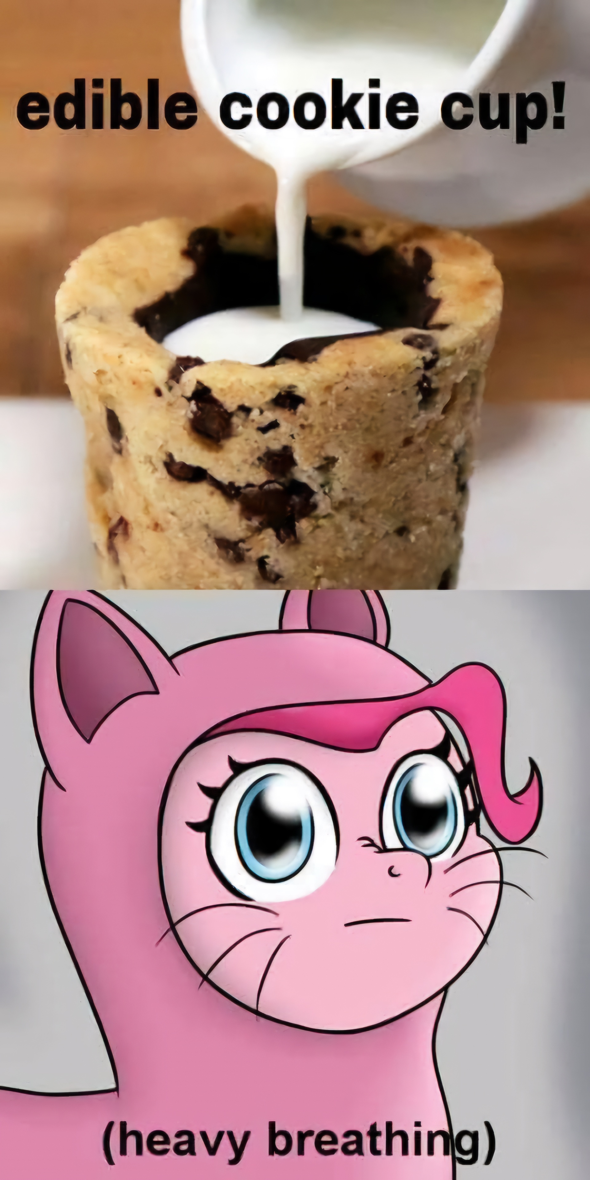 Memes and Ponies: A Lighthearted Break from Doomscrolling