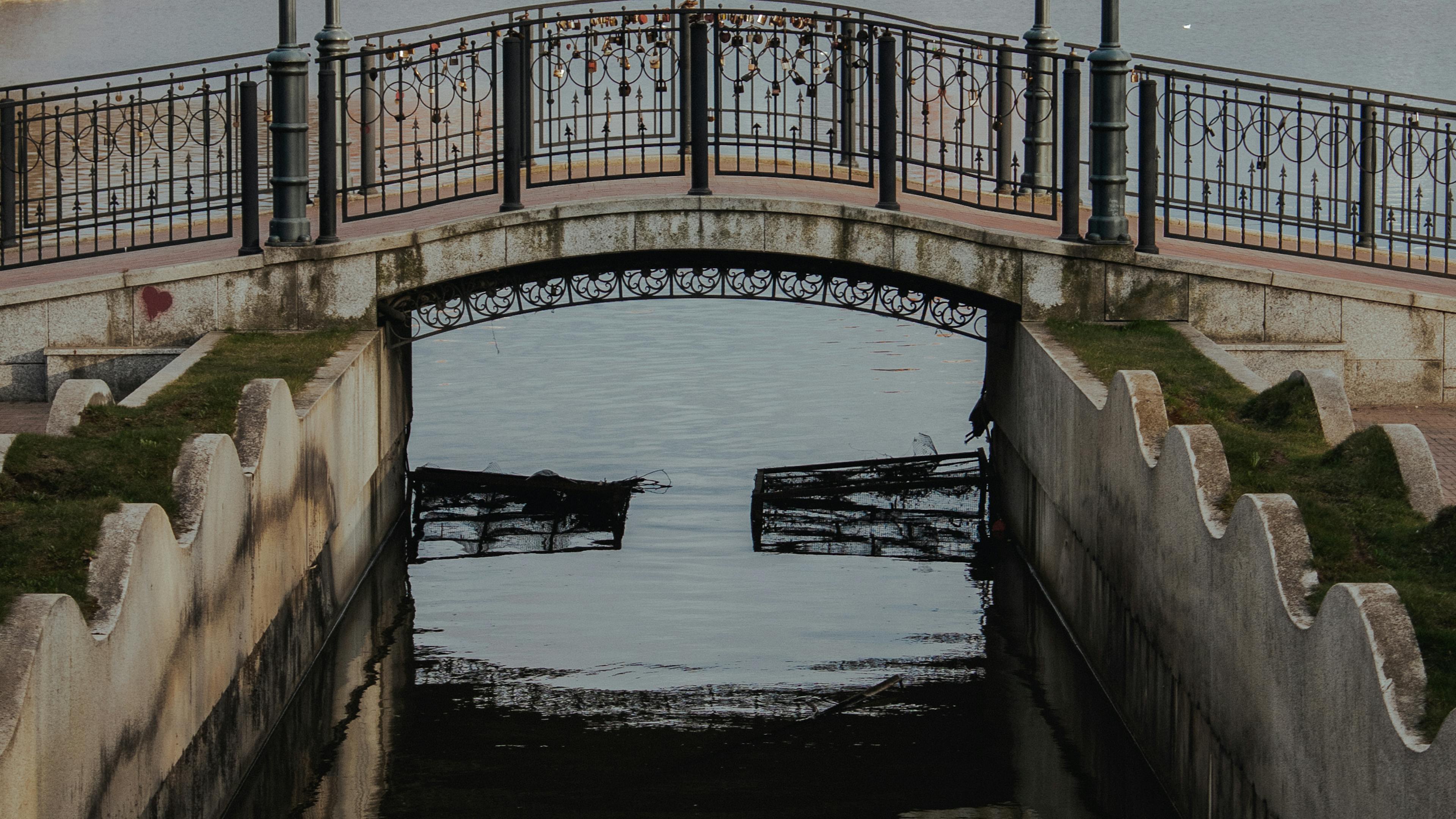 Finding Serenity in an Urban Oasis