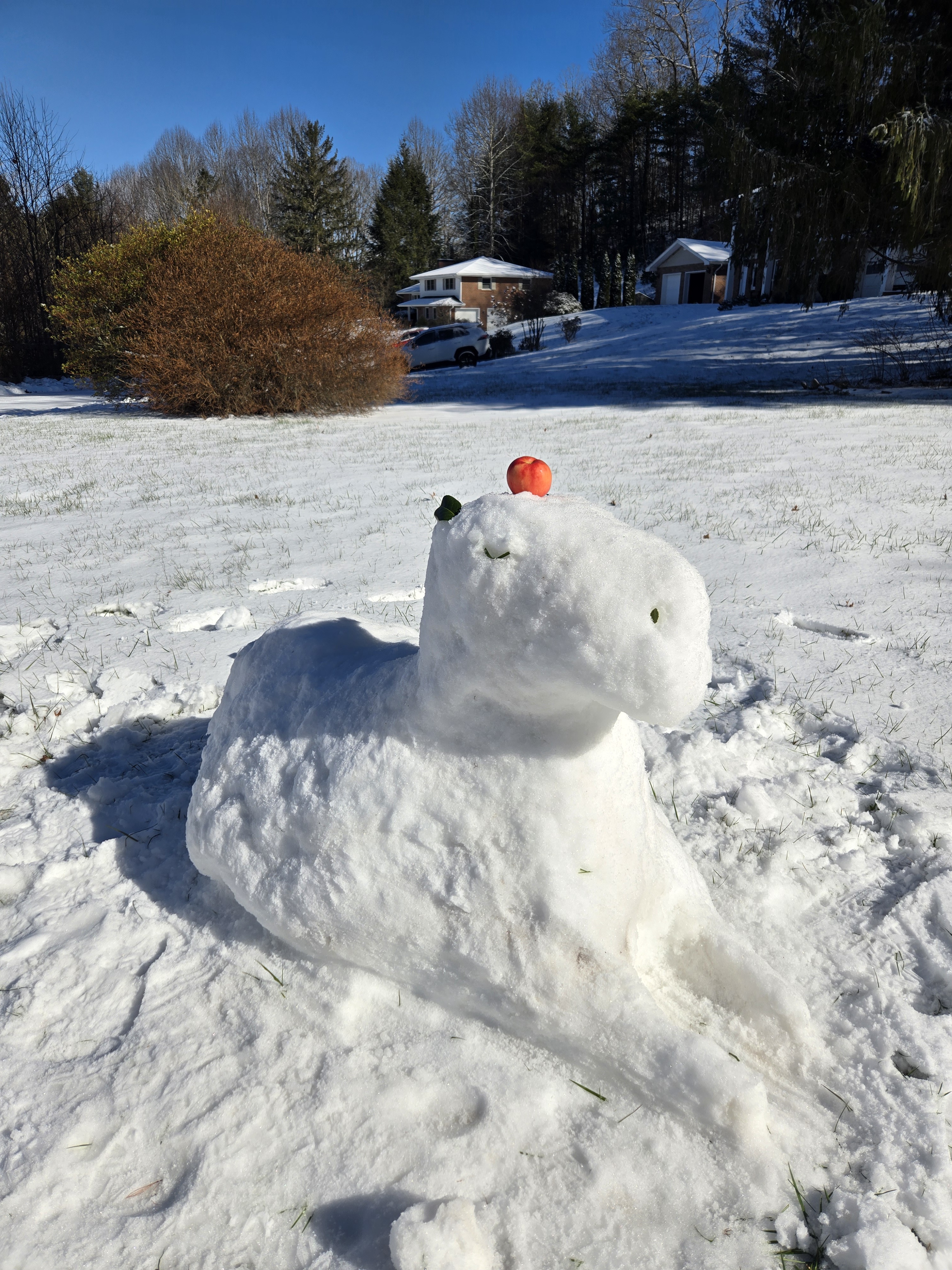 Check out my creation: a Snowybara!