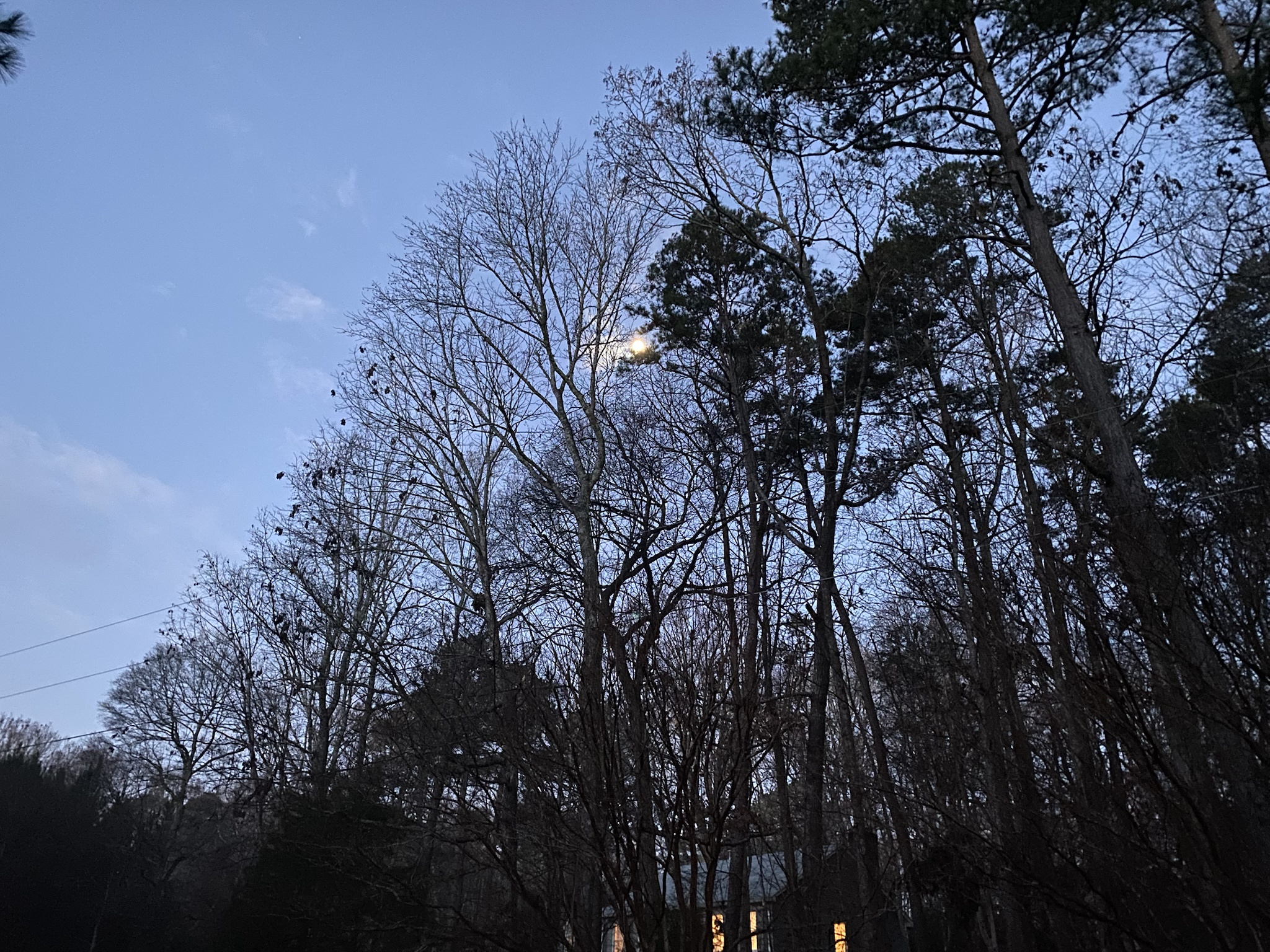 A Glimpse of This Morning in Durham